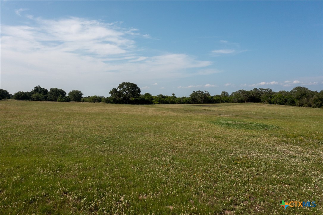 Yorktown, Texas, 78164, United States, ,Land,For Sale,1858167