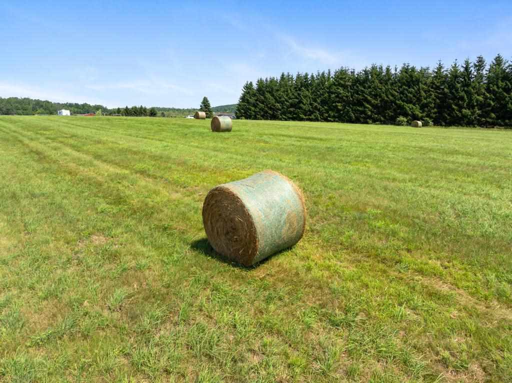 Alanson, Michigan, 49706, United States, 3 Bedrooms Bedrooms, ,3 BathroomsBathrooms,Residential,For Sale,1907039