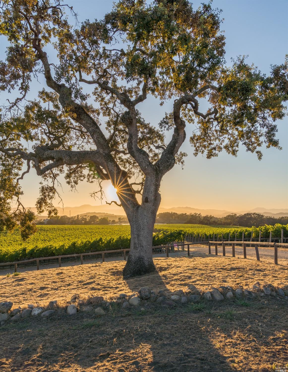 Napa, California, 94558, United States, 7 Bedrooms Bedrooms, ,11 BathroomsBathrooms,Residential,For Sale,1766970