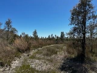 Punta Gorda, Florida, 33982, United States, ,Land,For Sale,1840783