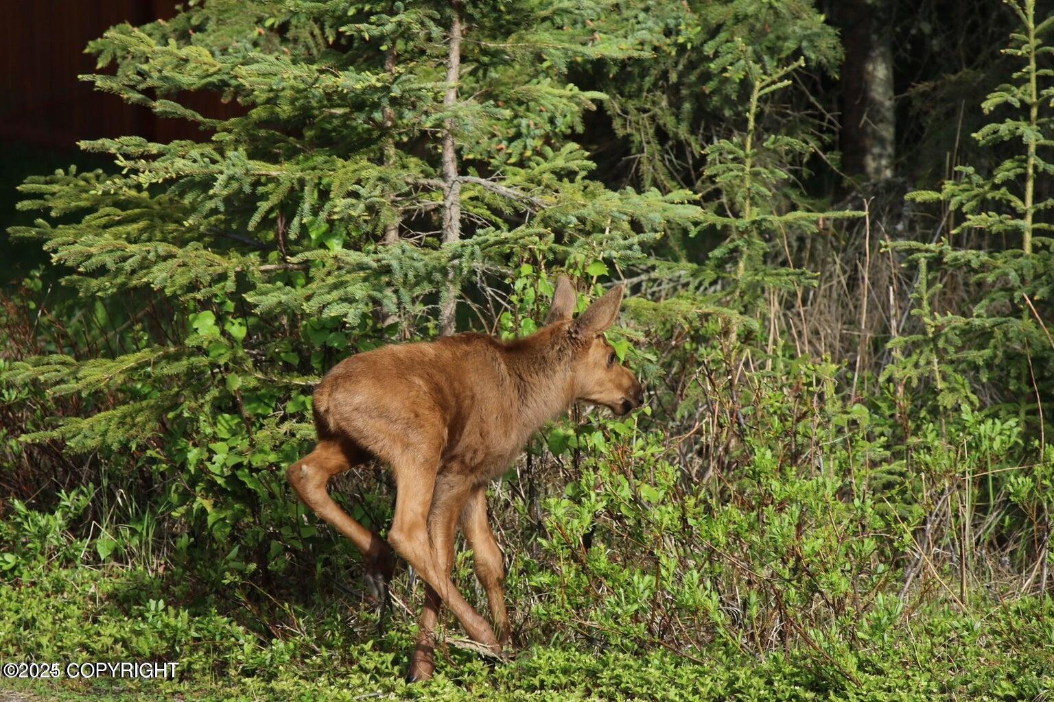 Kenai, Alaska, 99611, United States, 4 Bedrooms Bedrooms, ,5 BathroomsBathrooms,Residential,For Sale,1974536