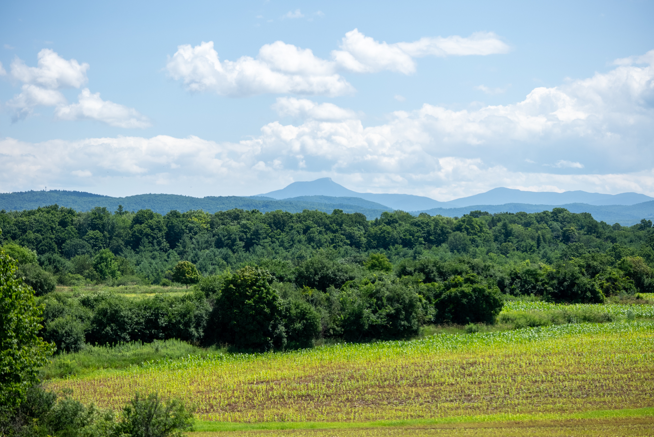  6 Luke Lane - 物件實景