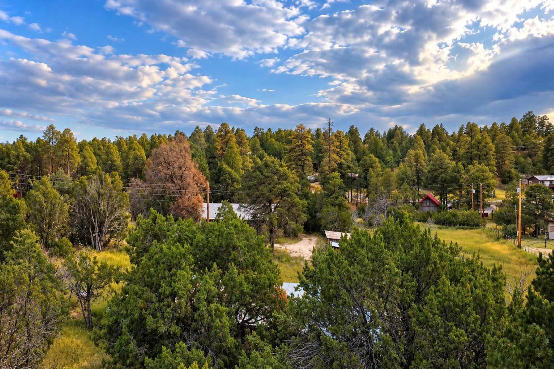  1895 Aspen Lane¦Heber, AZ - 物件實景