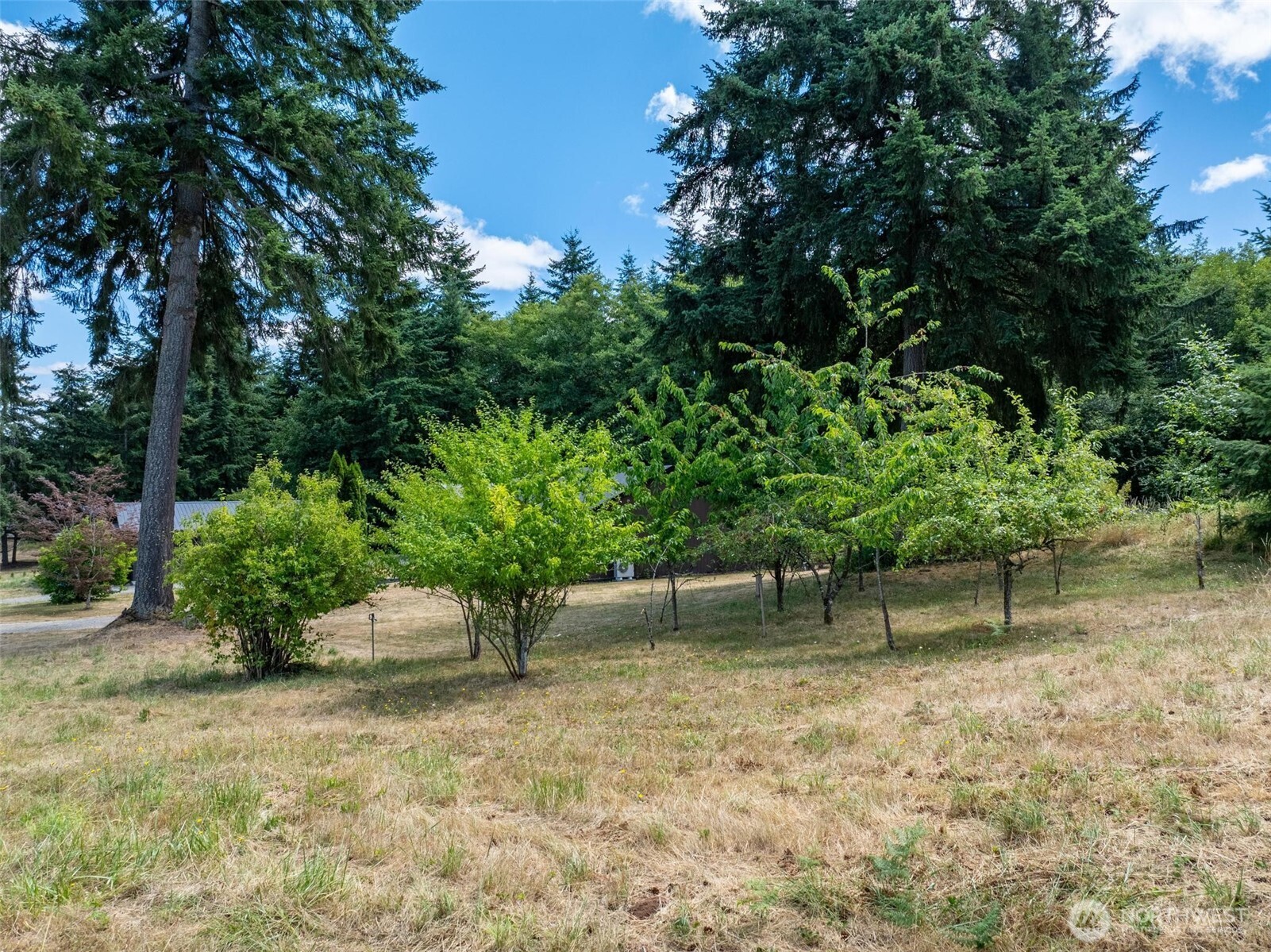 Winlock, Washington, 98596, United States, 3 Bedrooms Bedrooms, ,2 BathroomsBathrooms,Residential,For Sale,1942724