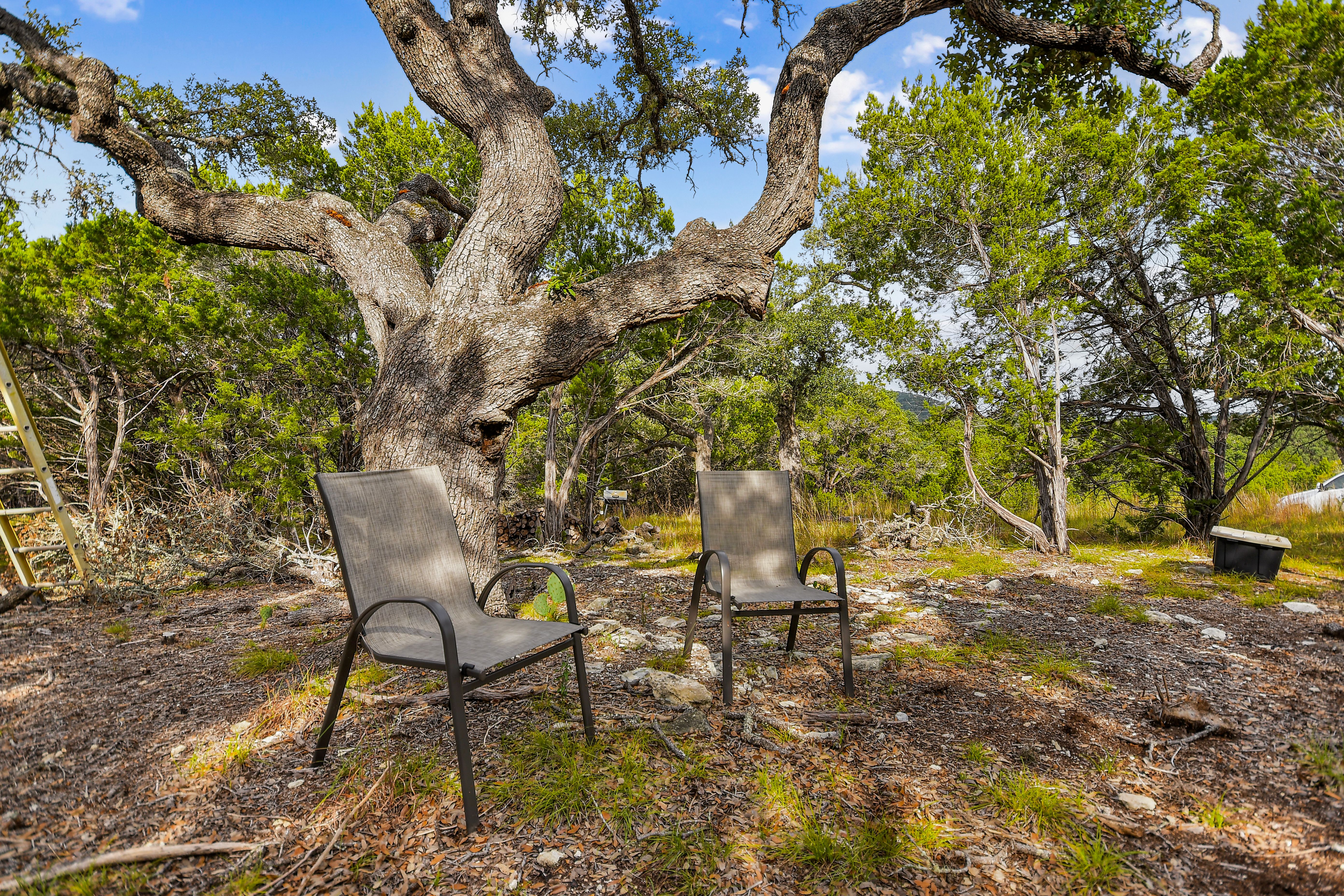 TBD Hwy 46 / Madrona Ranch Road, Pipe Creek, TX 78063 - 物件實景