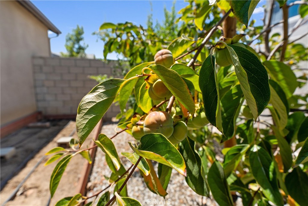 Menifee, California, 92584, United States, 4 Bedrooms Bedrooms, ,2 BathroomsBathrooms,Residential,For Sale,1901372