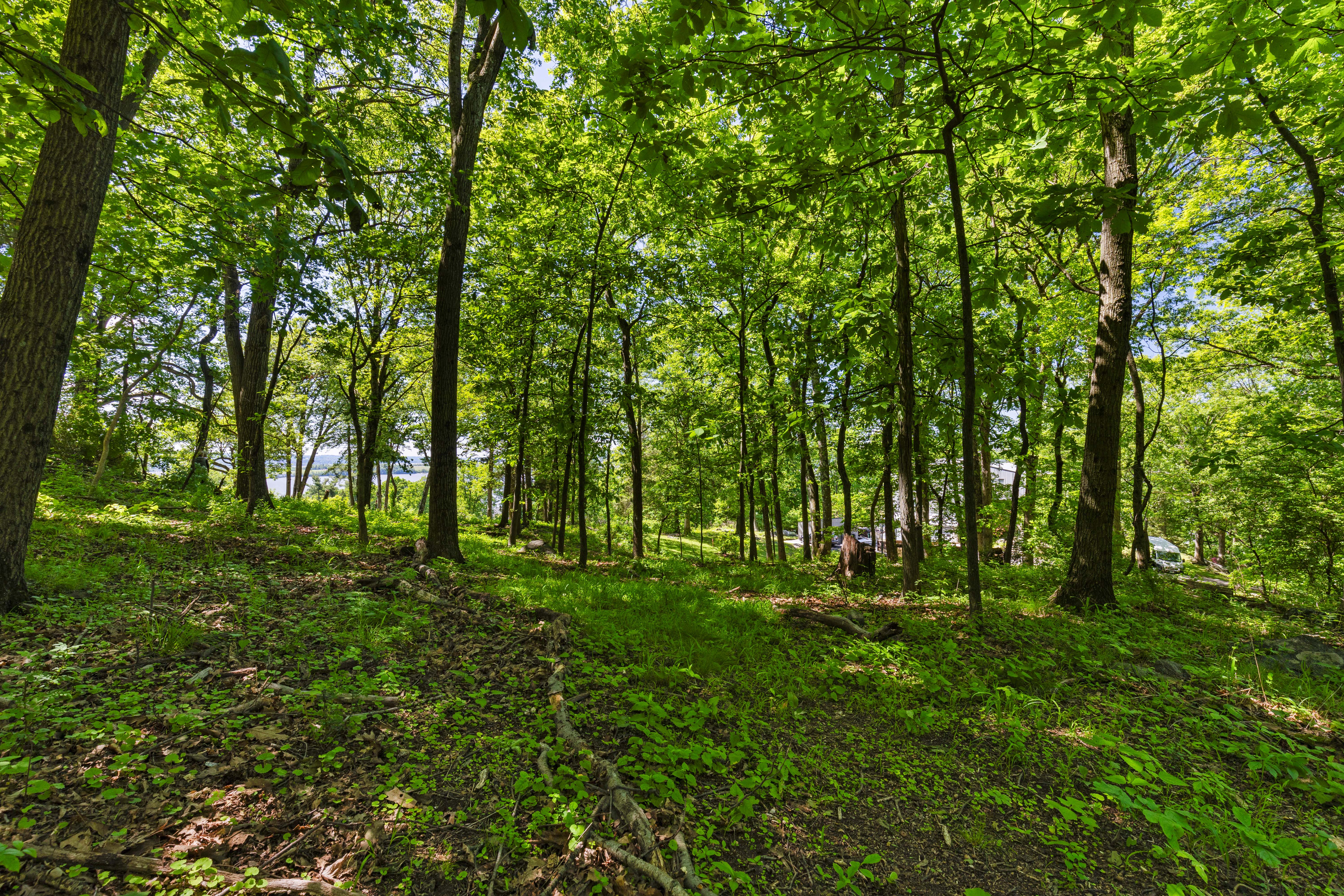  8 Prickly Pear Hill Road - 物件實景