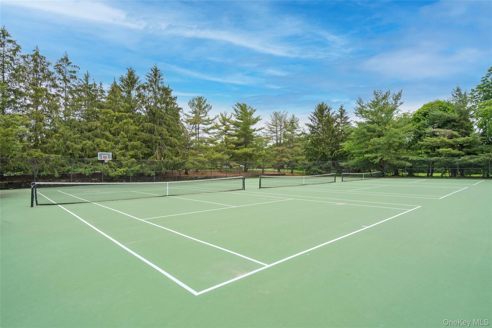 323 Baltustrol Circle, Roslyn, NY, 11576 - 物件實景