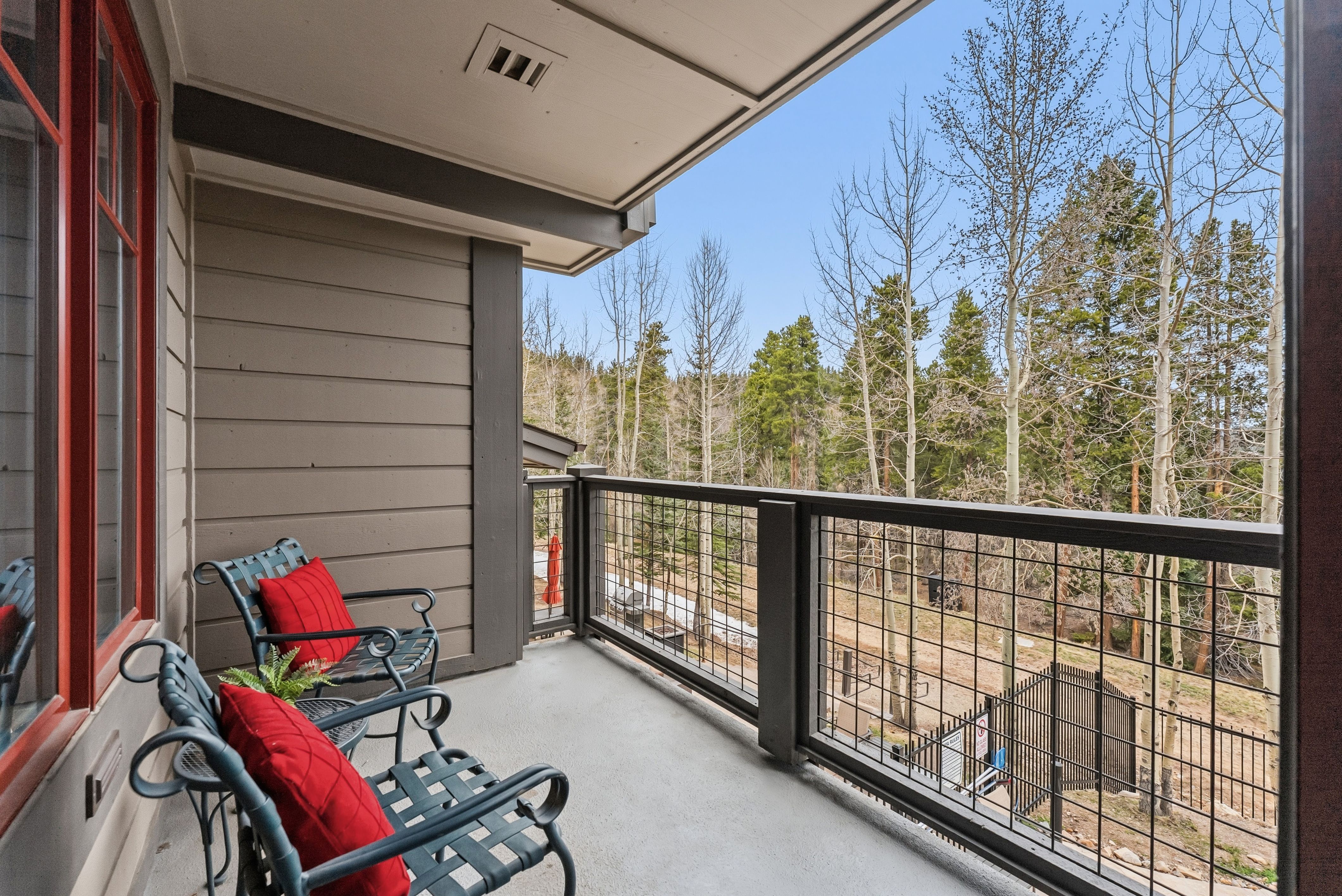  50 Mountain Thunder Drive, Breckenridge, CO, 80424 - 物件實景