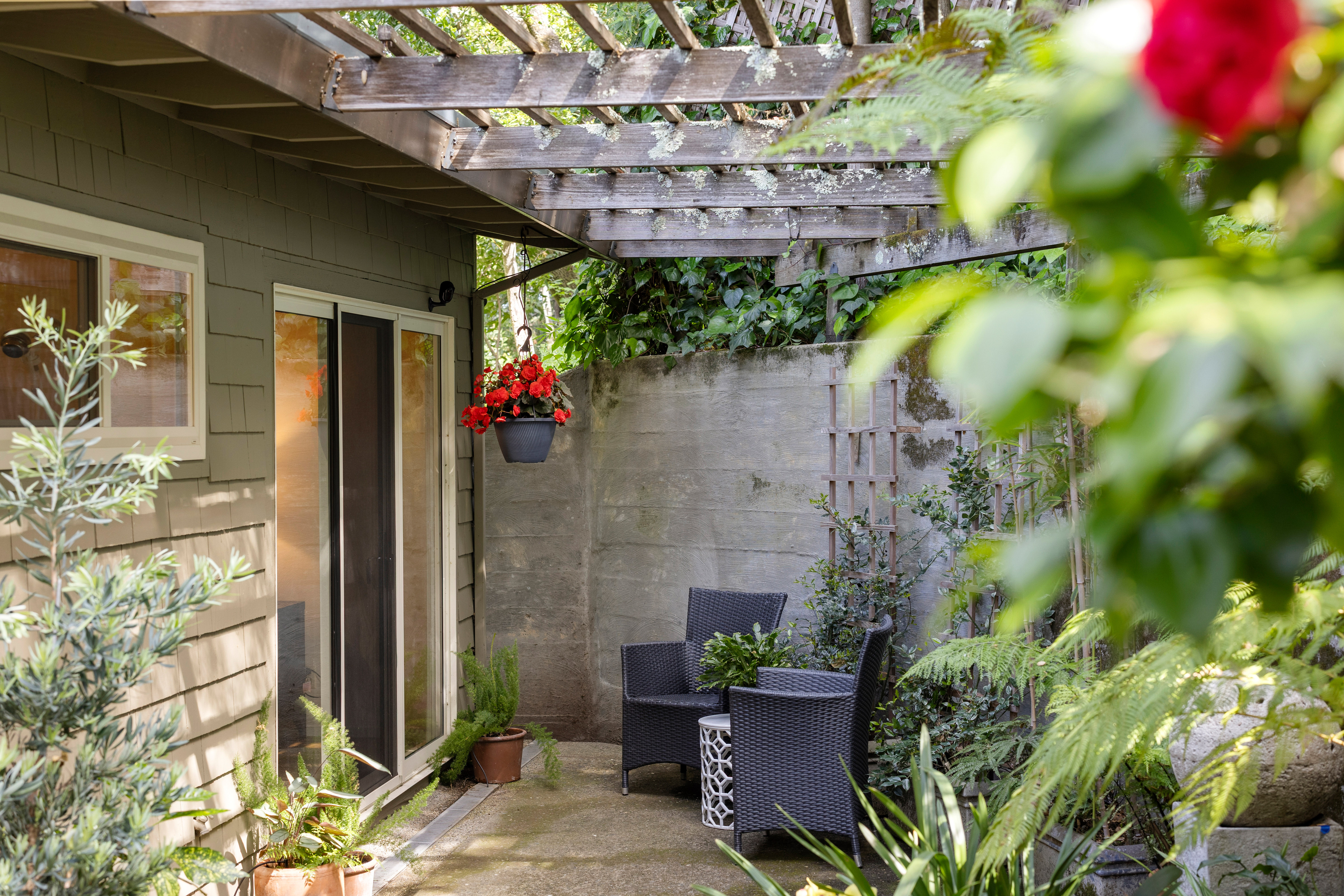  Mid-Century Design and Natural Tranquility in San Rafael’s West End - 物件實景