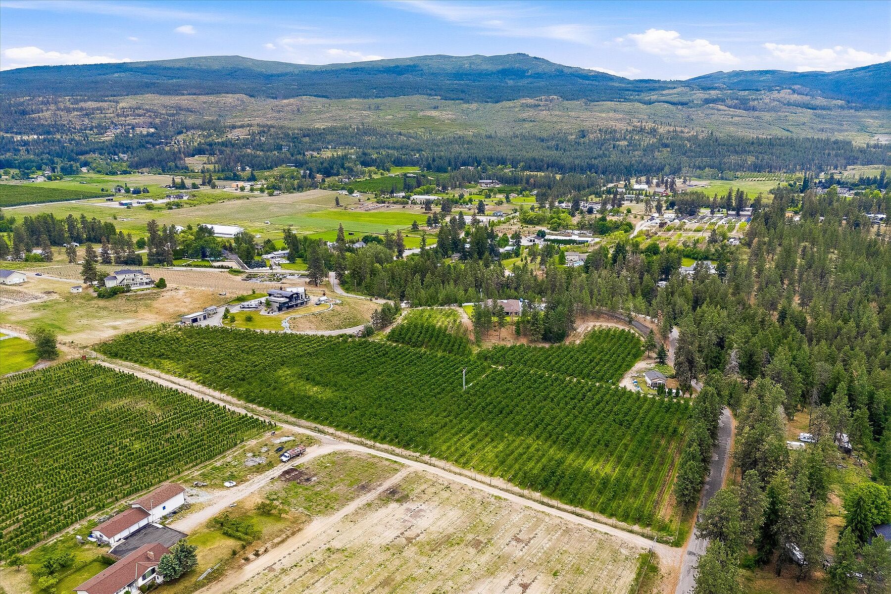  12.81 Acre Orchard - 物件實景