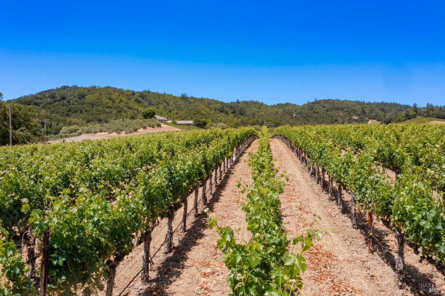 Napa, California, 94558, United States, 5 Bedrooms Bedrooms, ,8 BathroomsBathrooms,Residential,For Sale,1862462