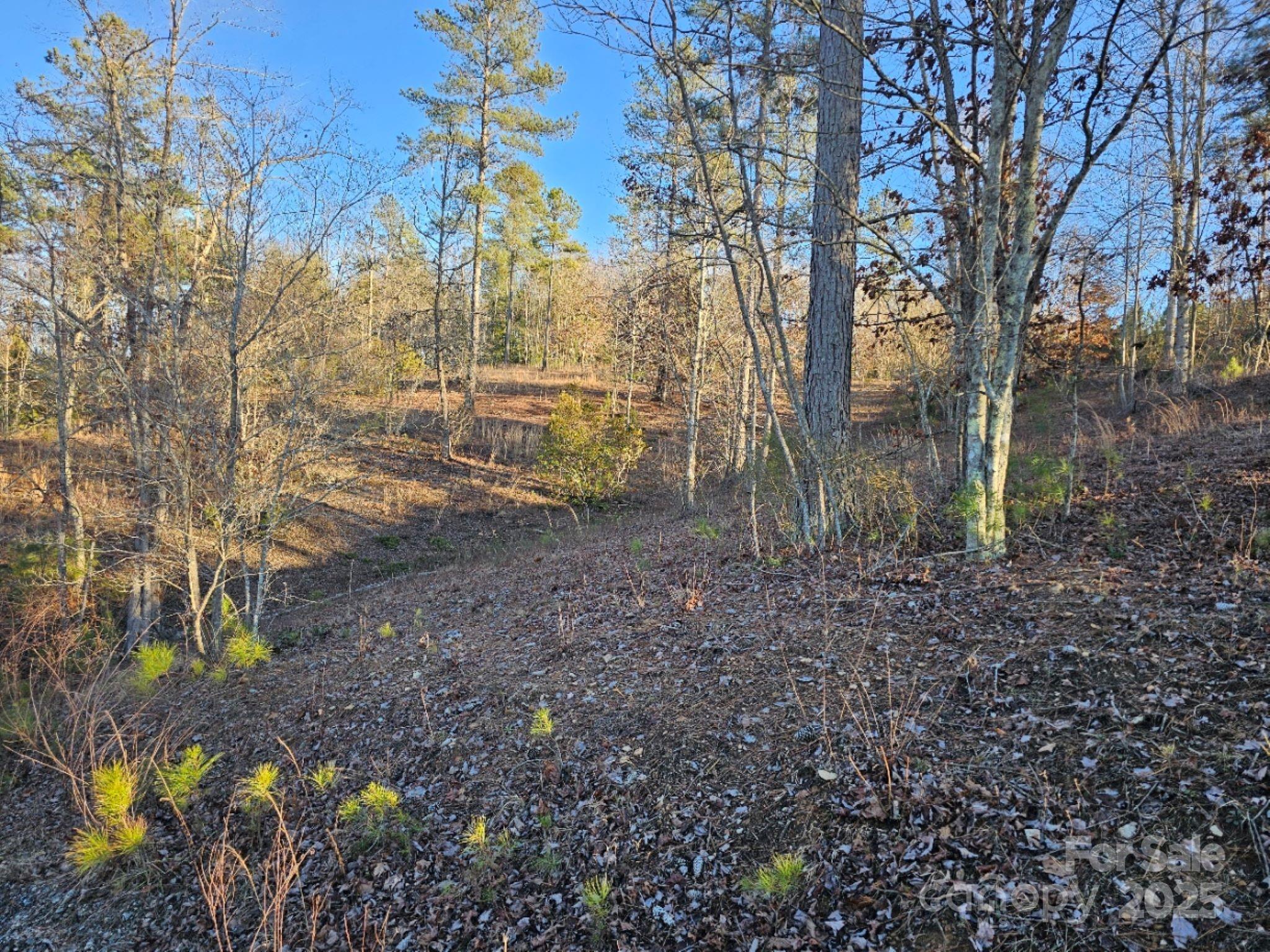 Connelly Springs, North Carolina, 28612, United States, 3 Bedrooms Bedrooms, ,3 BathroomsBathrooms,Residential,For Sale,1982824