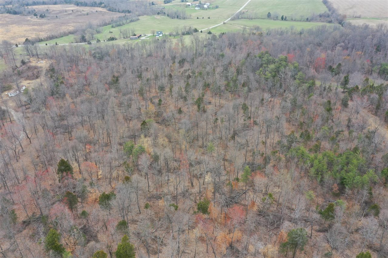 Clarkson, Kentucky, 42726, United States, ,Land,For Sale,1828562