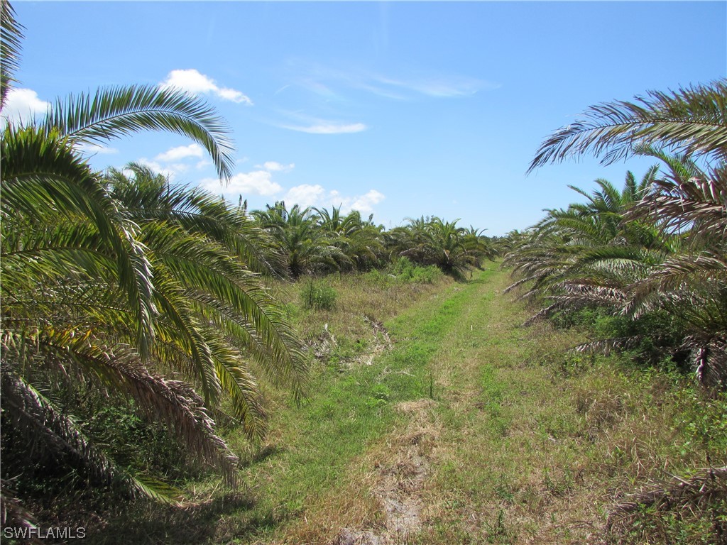 13350 Stringfellow Road, Bokeelia, Florida, 33922, United States, ,Residential,For Sale,13350 Stringfellow Road,1239470