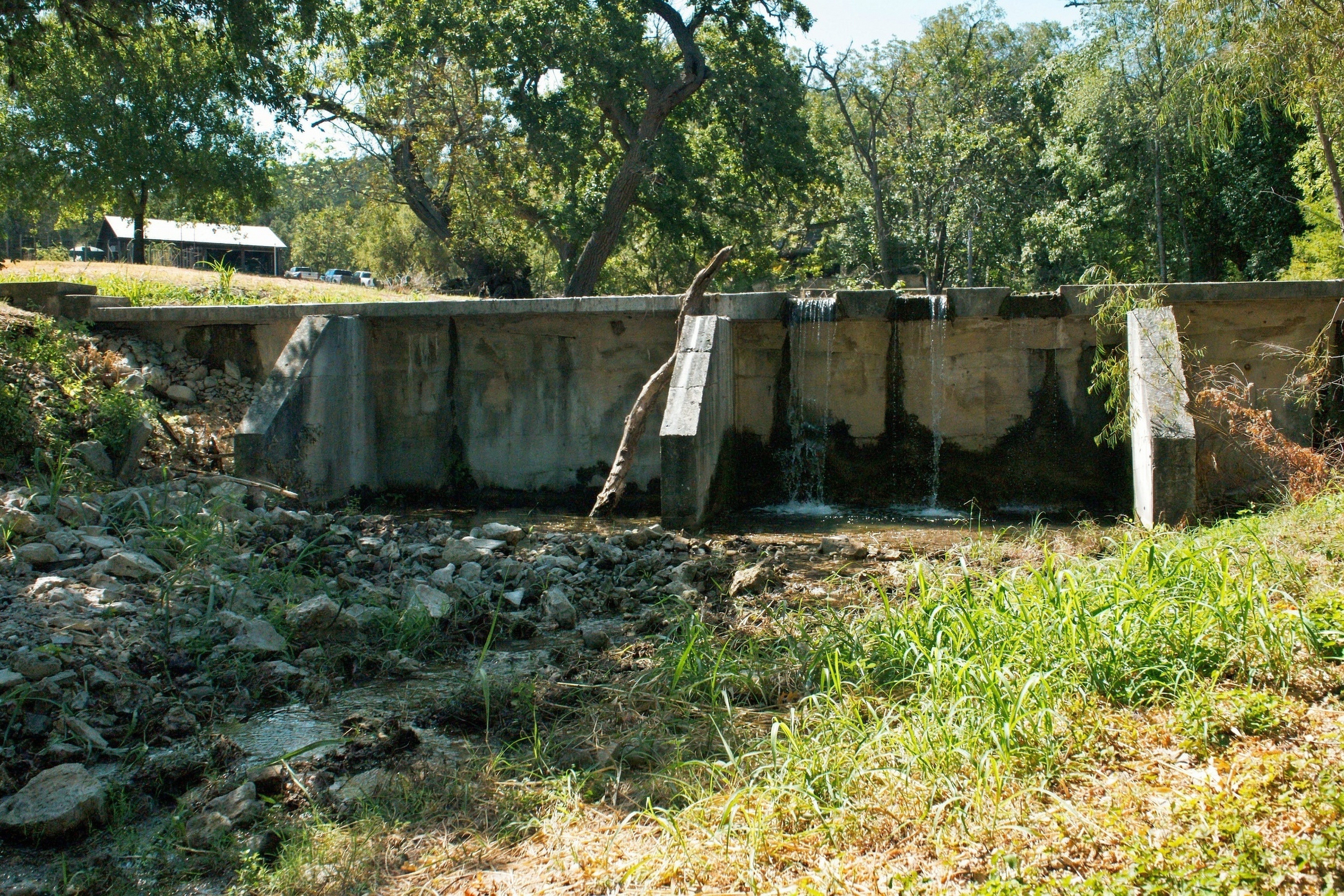  985+/- Acre 12 Springs Ranch - 物件實景