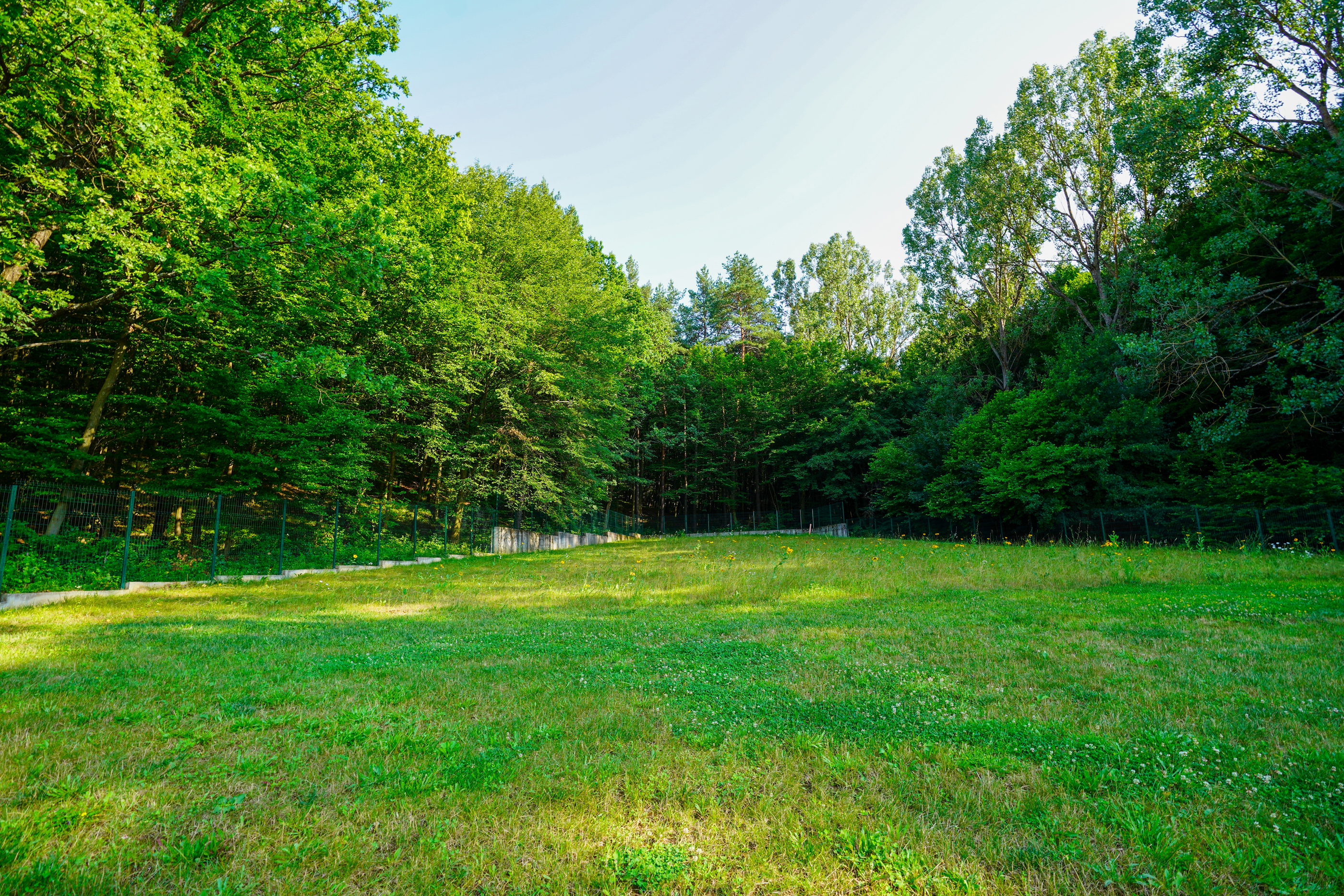  Villa with a 19-Hectare Private Estate on the Edge of the Forest - 物件實景