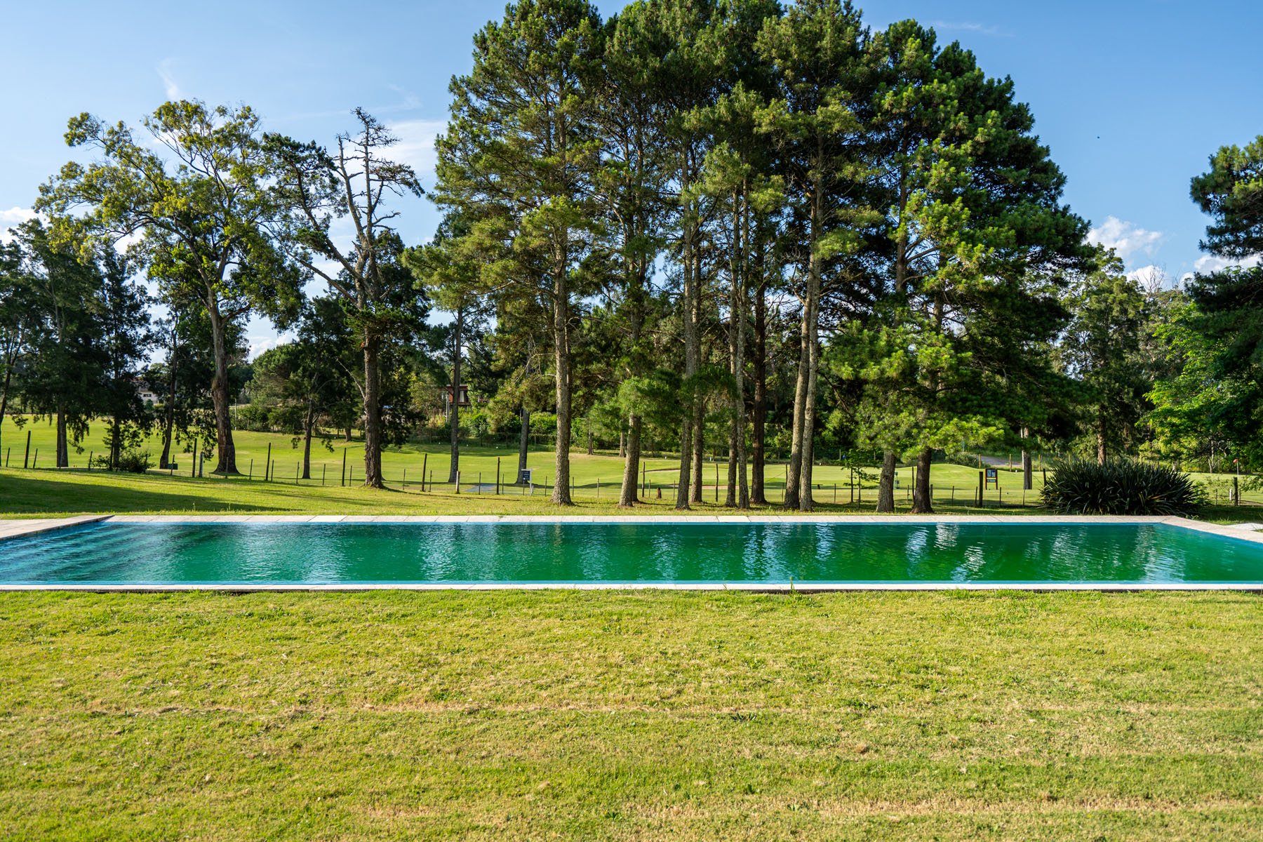  Spectacular house for sale in Golf, Punta del Este - 物件實景