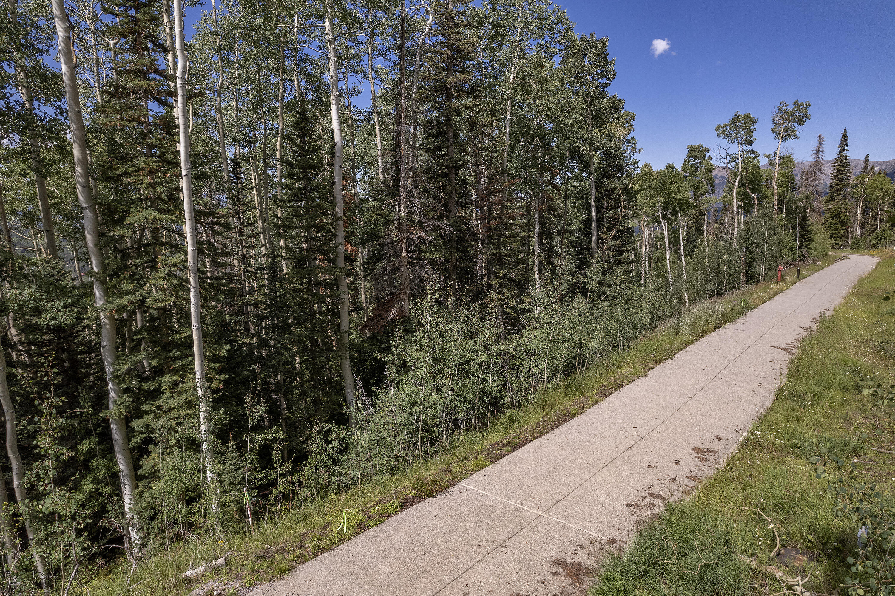 Mountain Village, Colorado, 81435, United States, ,Land,For Sale,1805145