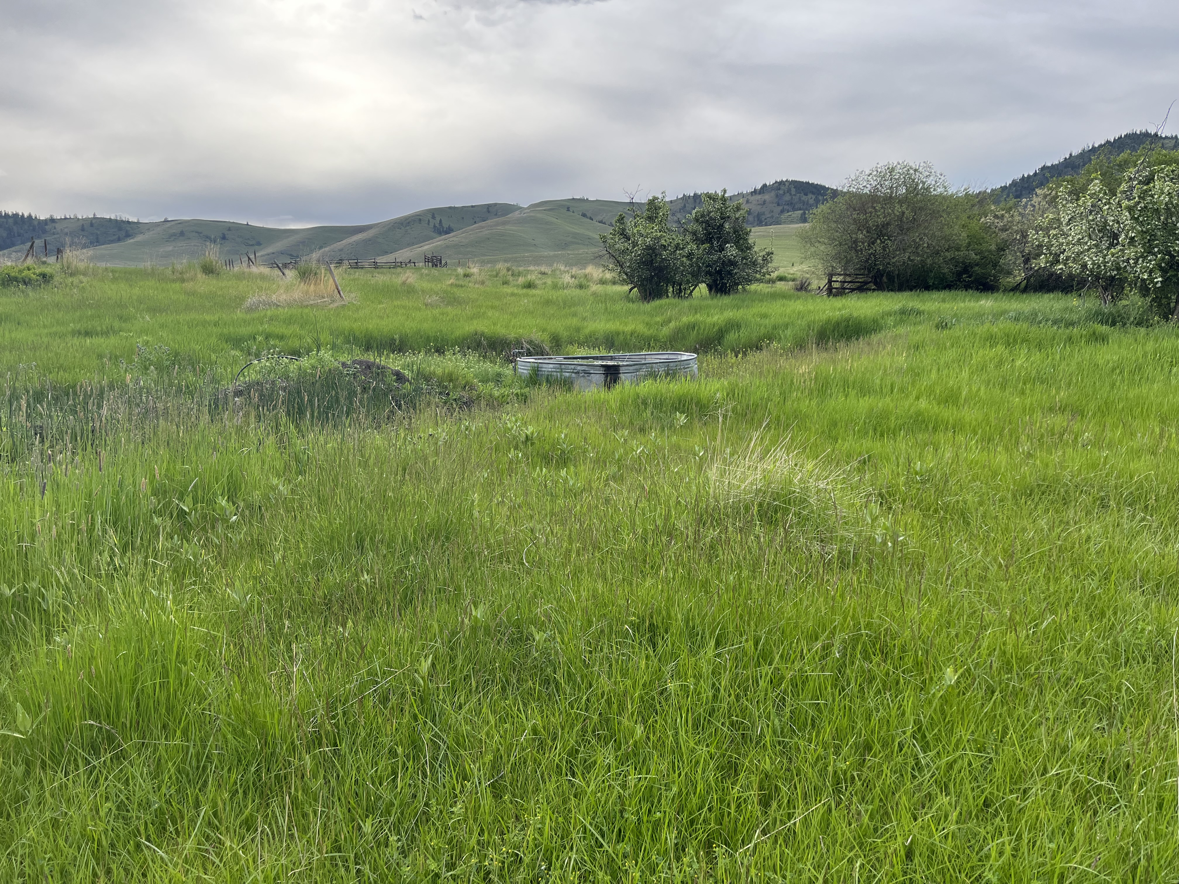 Hot Springs, Montana, 59845, United States, ,Residential,For Sale,1836275