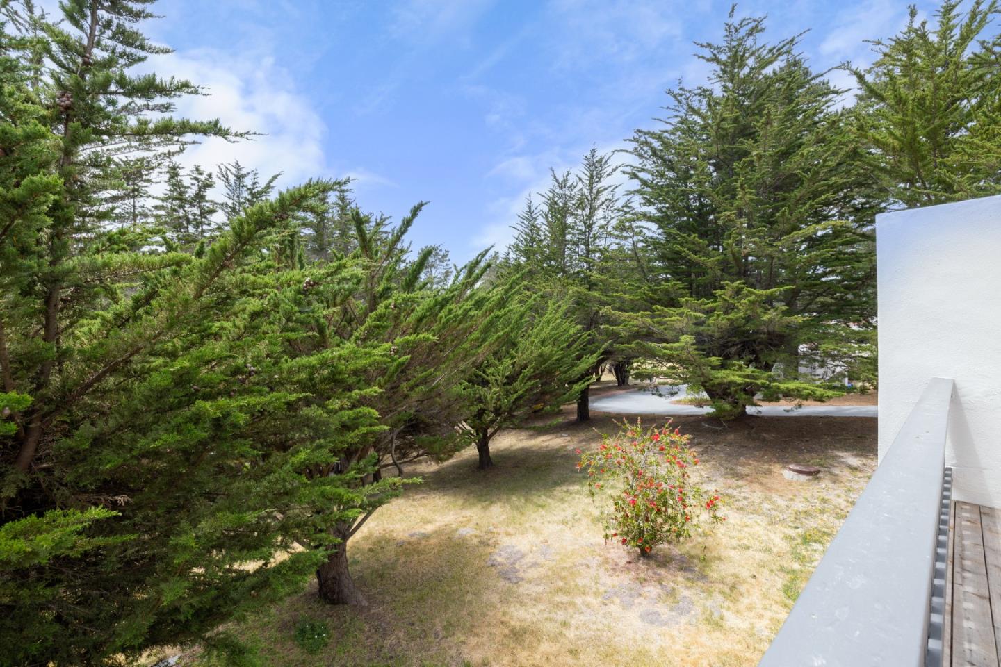 Carmel, California, 93923, United States, 2 Bedrooms Bedrooms, ,2 BathroomsBathrooms,Residential,For Sale,1859840