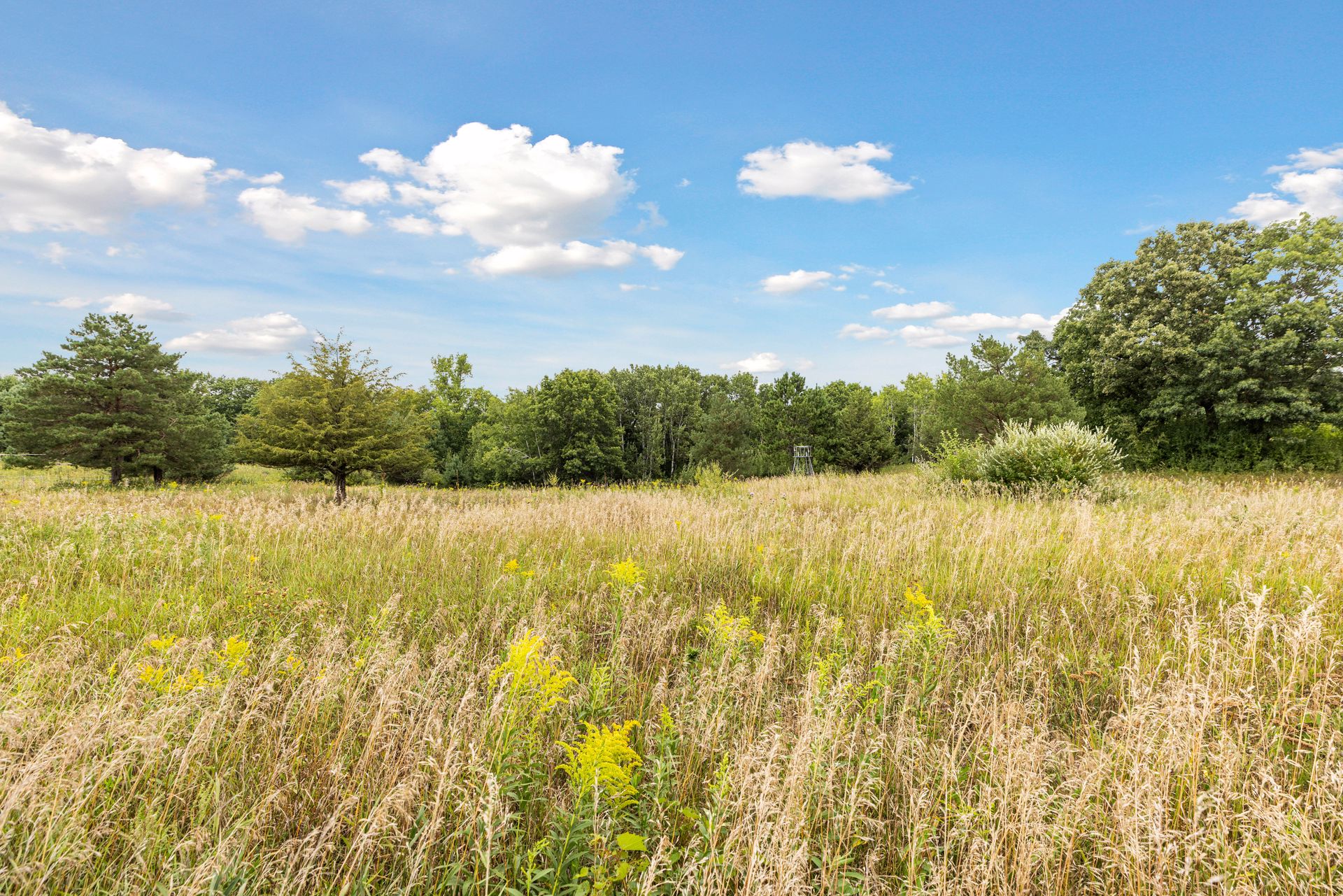  where  architecture and nature converge in the st. croix valley - 物件實景