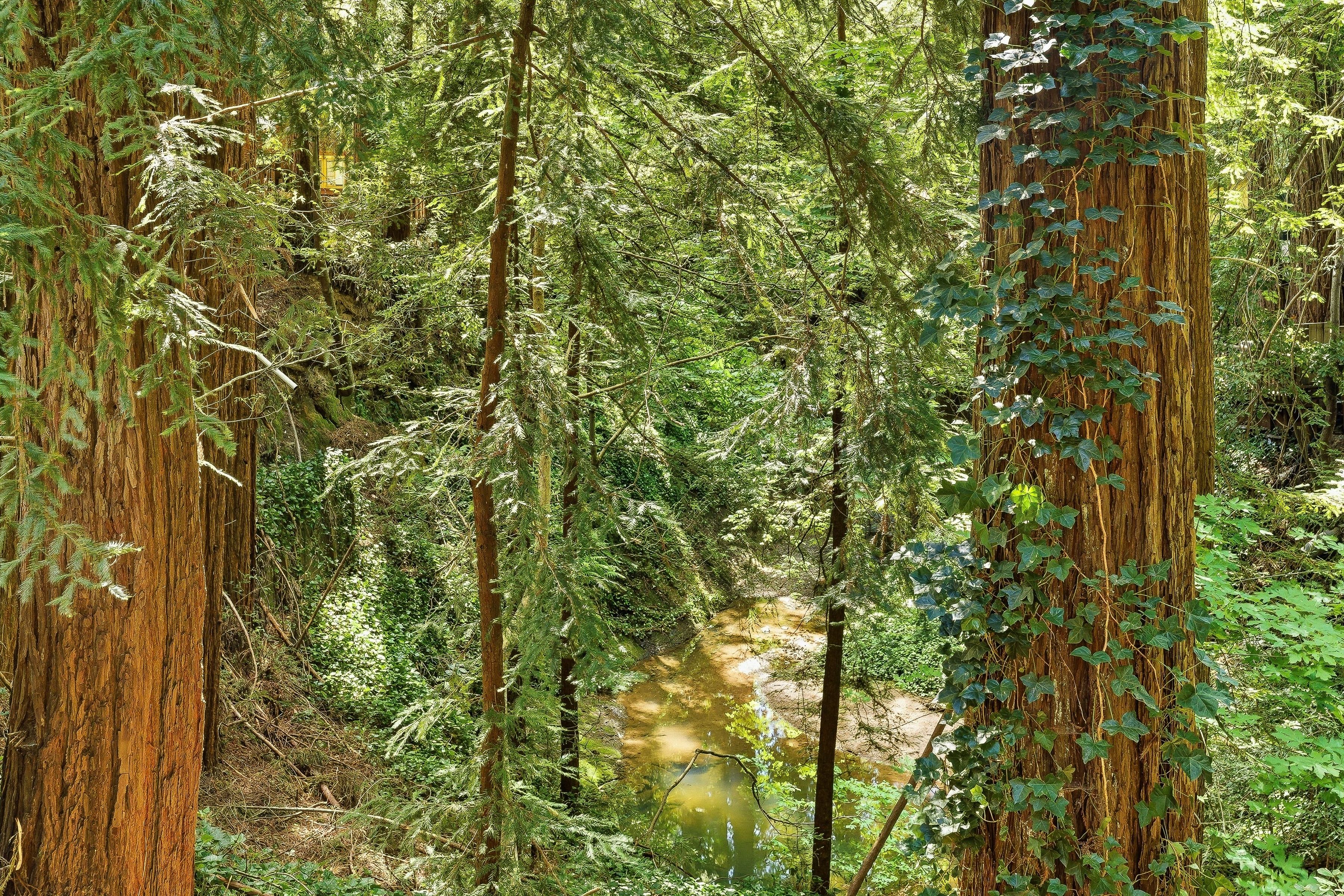  255 Brookside Drive - 物件實景