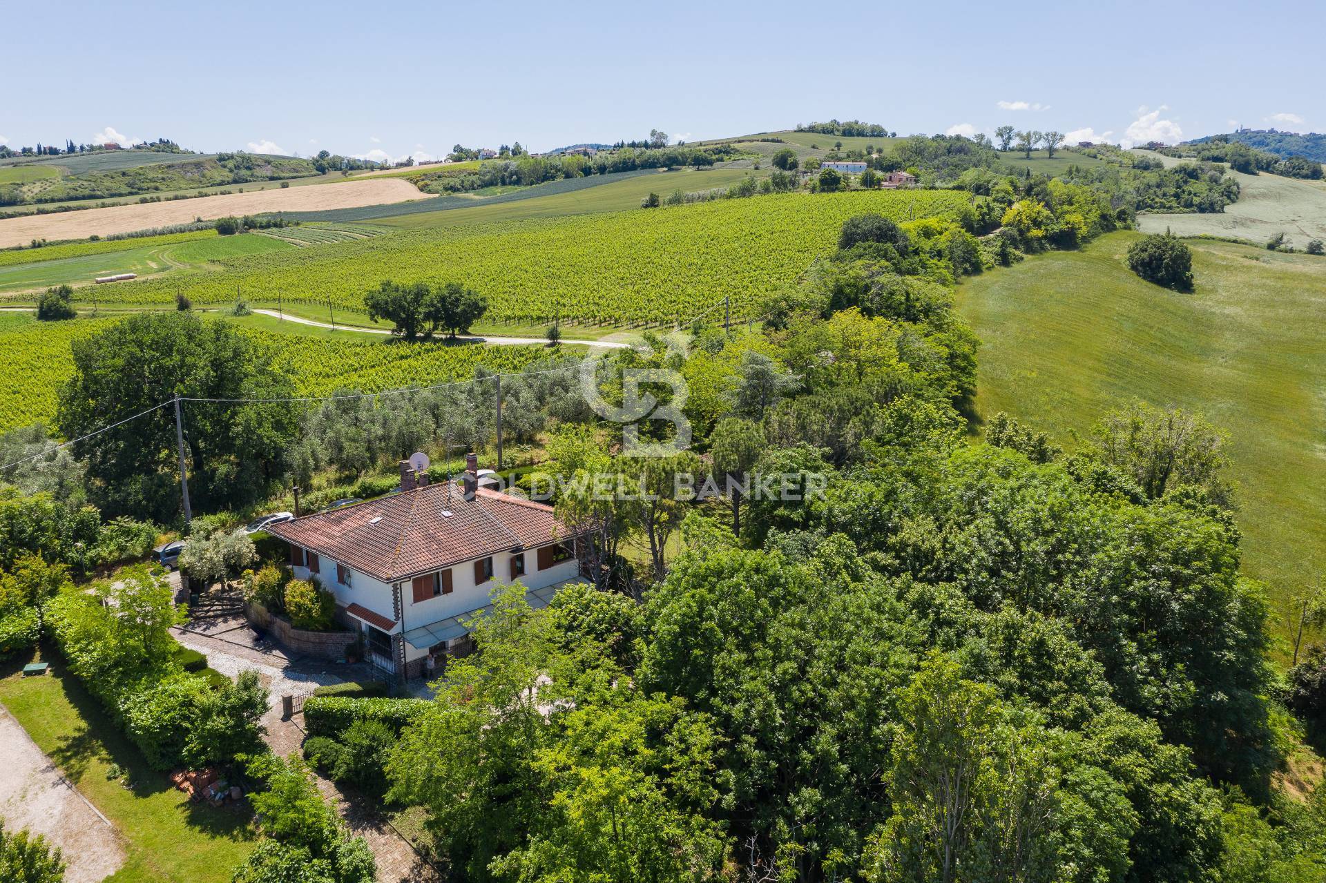 San Clemente, Rimini, 47040, IT, 3 Bedrooms Bedrooms, ,3 BathroomsBathrooms,Residential,For Sale,1838685