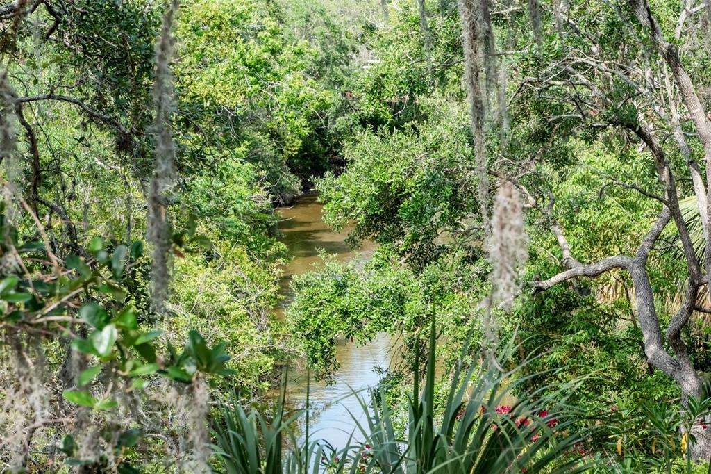 Dunedin, Florida, 34698, United States, 4 Bedrooms Bedrooms, ,5 BathroomsBathrooms,Residential,For Sale,1987490