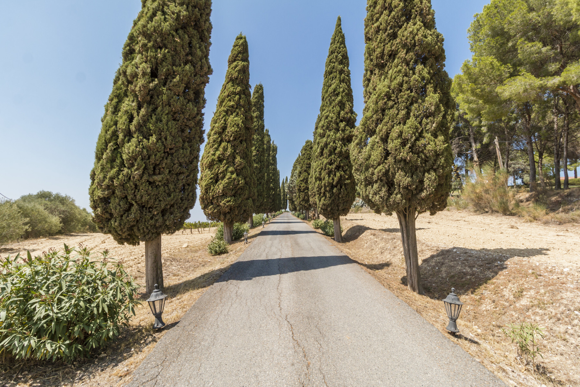  Historic Winery Estate with Vineyards in Penedes for Sale. - 物件實景