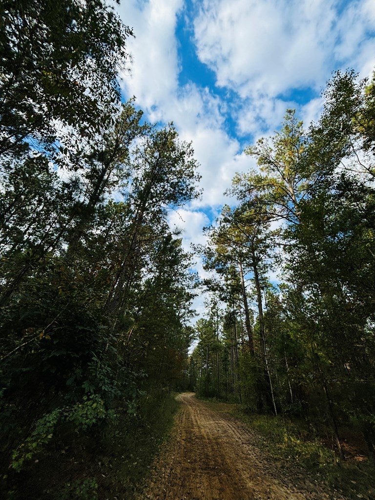 Abbeville, Georgia, 31001, United States, ,Land,For Sale,1975130