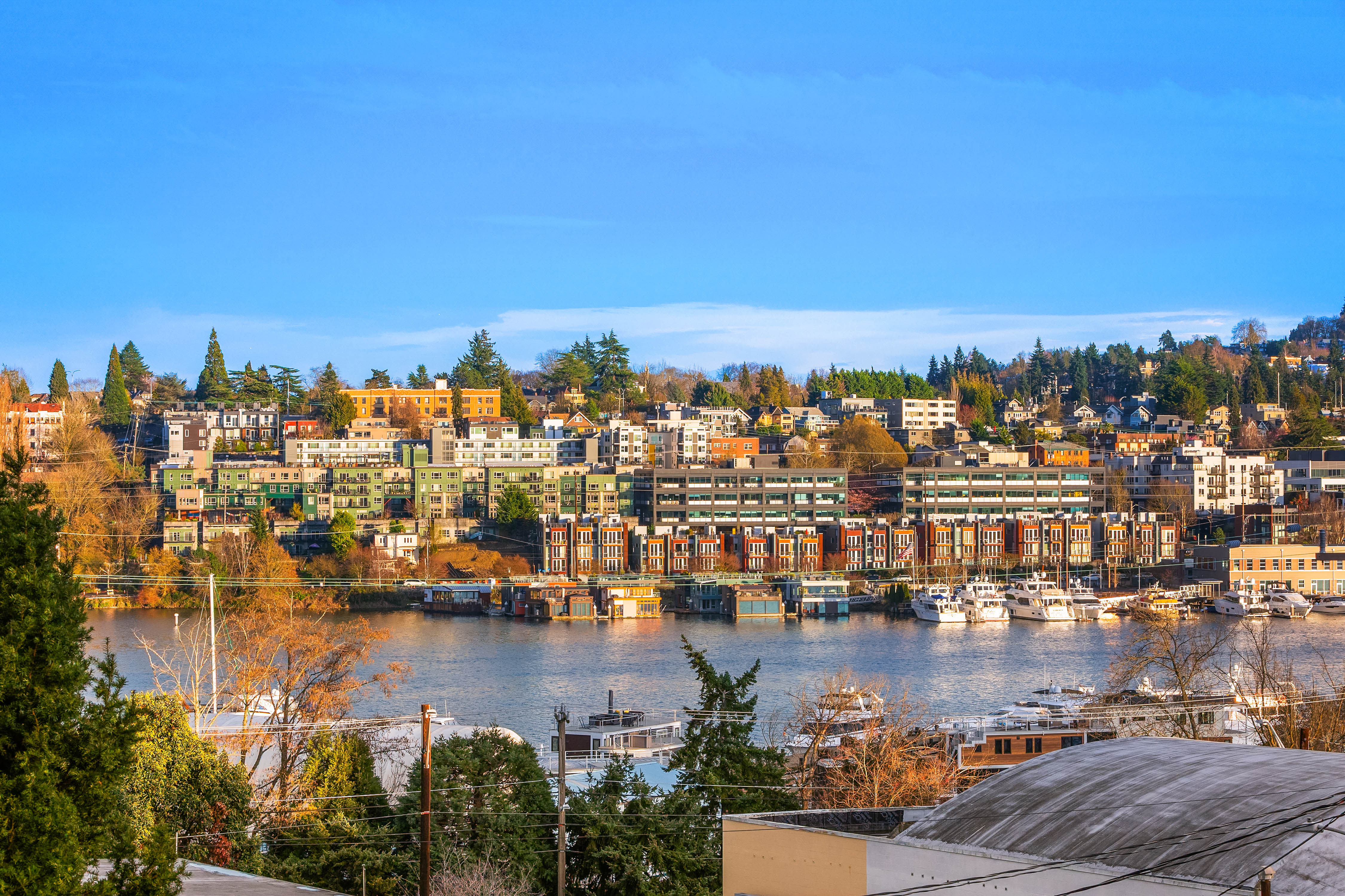  2117 N 36th Street, Seattle, WA 98103 - 物件實景