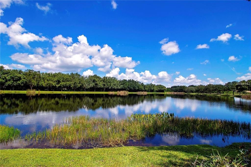 Bradenton, Florida, 34212, United States, 4 Bedrooms Bedrooms, ,5 BathroomsBathrooms,Residential,For Sale,1856587