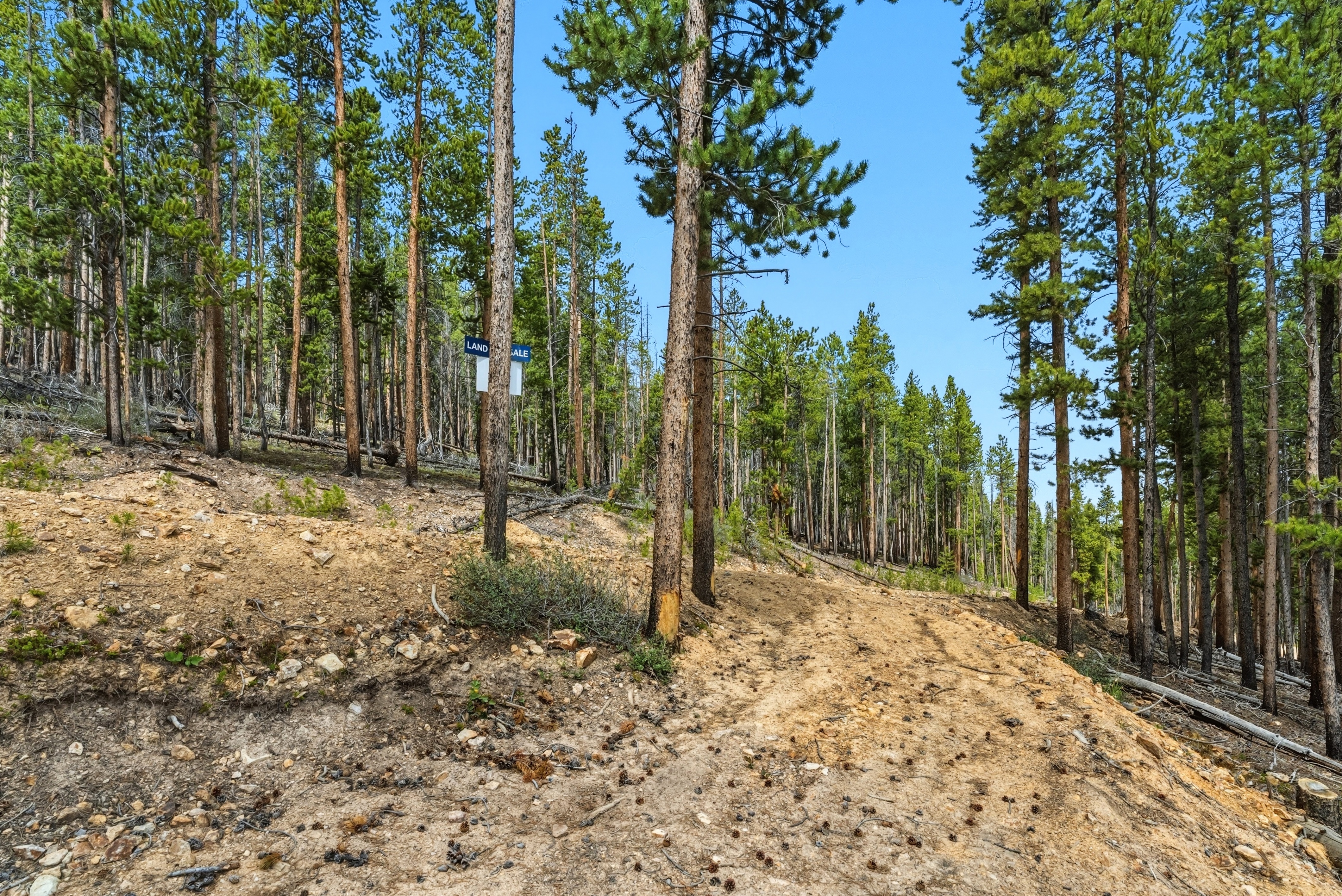  653 Summit Gulch Road, Breckenridge, CO, 80424 - 物件實景