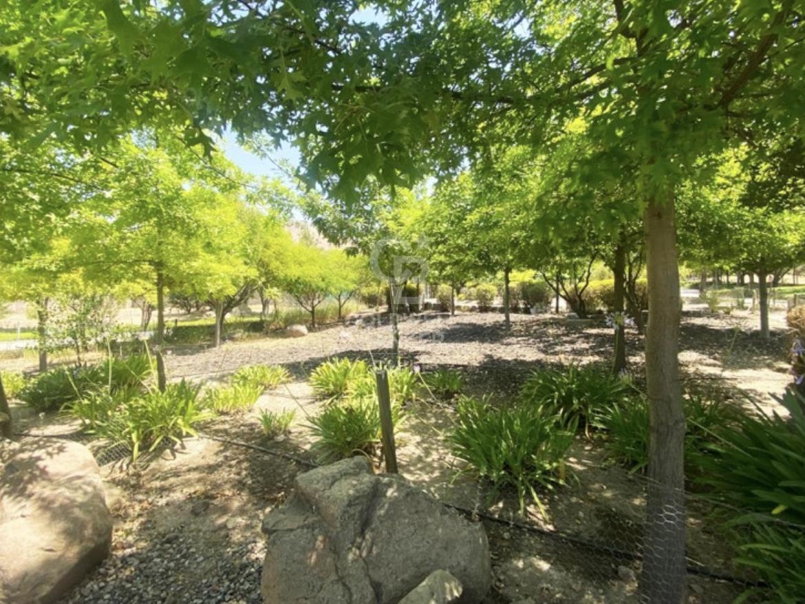 Colina, Chile, ,Land,For Sale,1890111