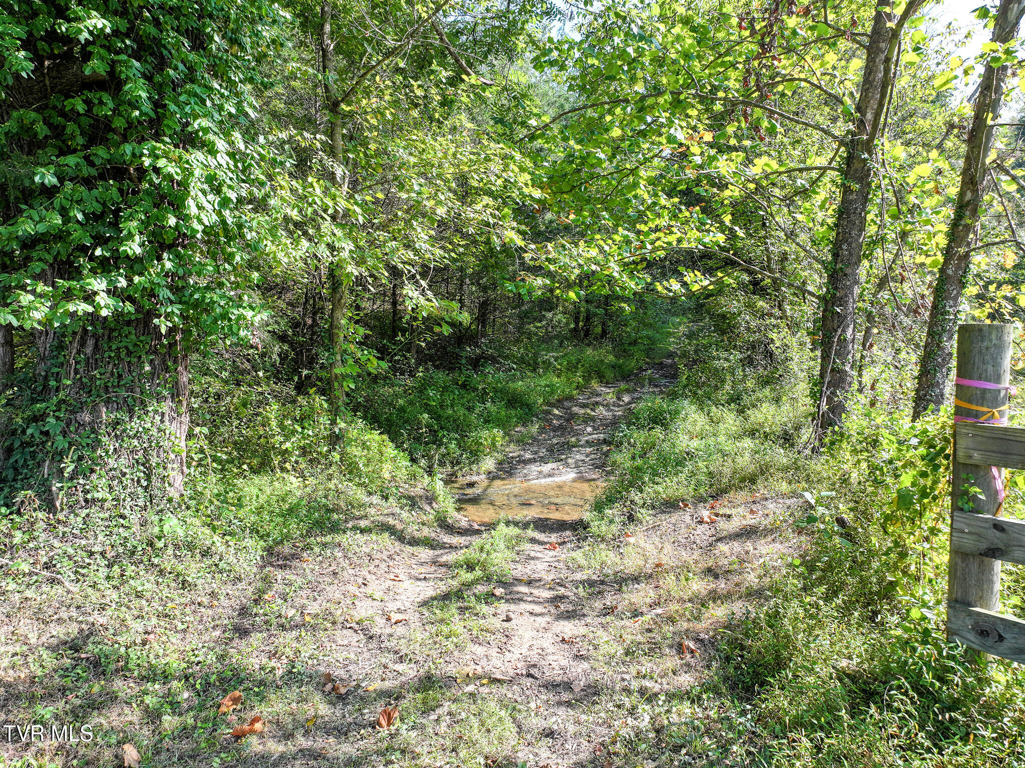 Greeneville, Tennessee, 37745, United States, 3 Bedrooms Bedrooms, ,3 BathroomsBathrooms,Residential,For Sale,2039547