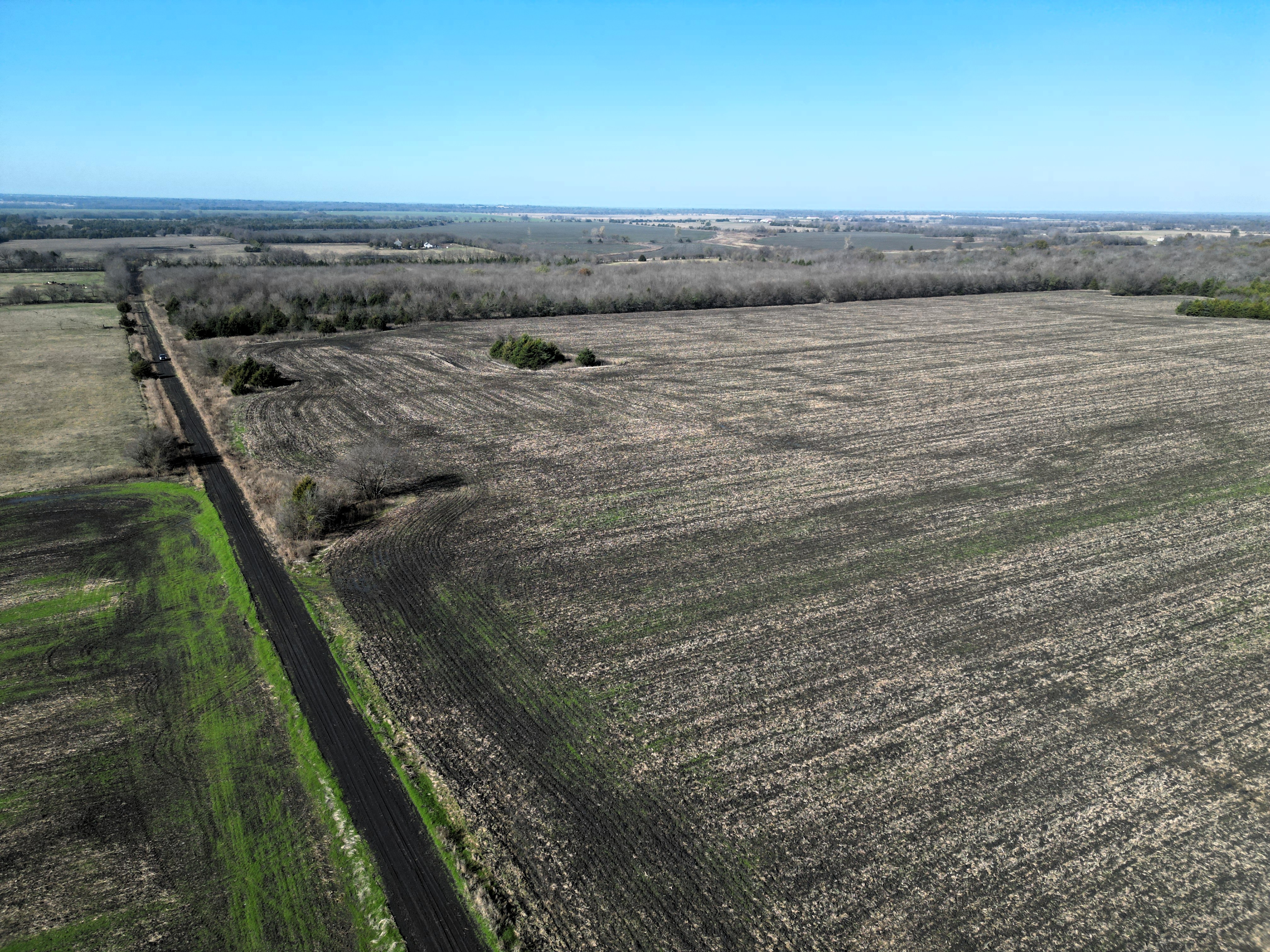 Commerce, Texas, 75428, United States, ,Land,For Sale,2001483