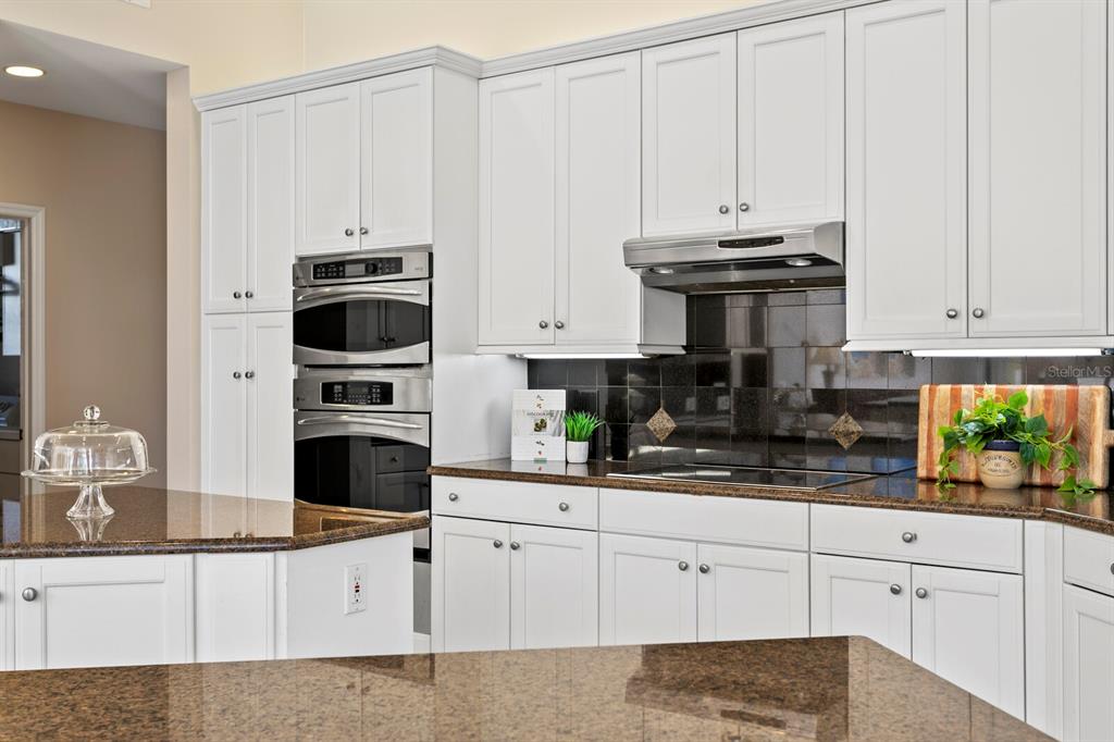 Palm Harbor, Florida, 34685, United States, 5 Bedrooms Bedrooms, ,3 BathroomsBathrooms,Residential,For Sale,1980660