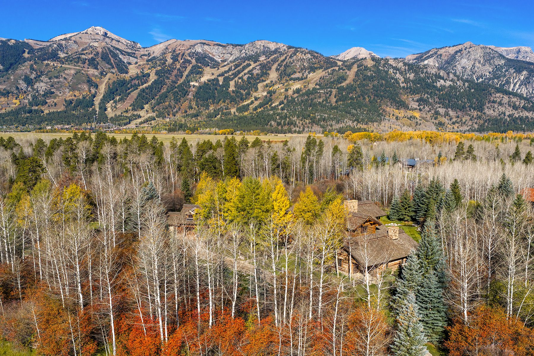  A Remarkable Retreat in Lake Creek Ranch - 物件實景
