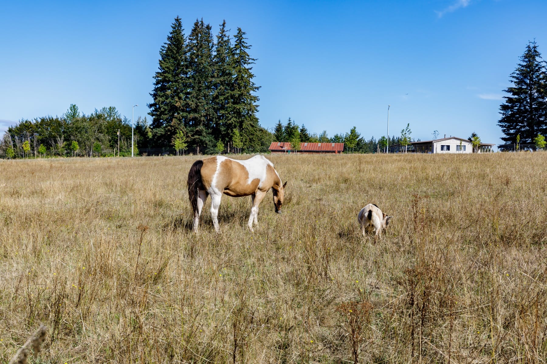 16370 Bell ST Sandy, OR 97055 - 物件實景