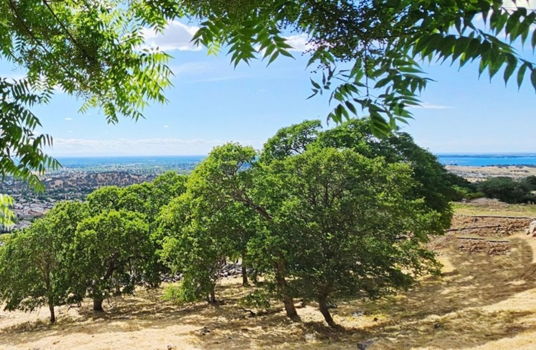  2680 Via Fiori, El Dorado Hills, CA 95762 - 物件實景