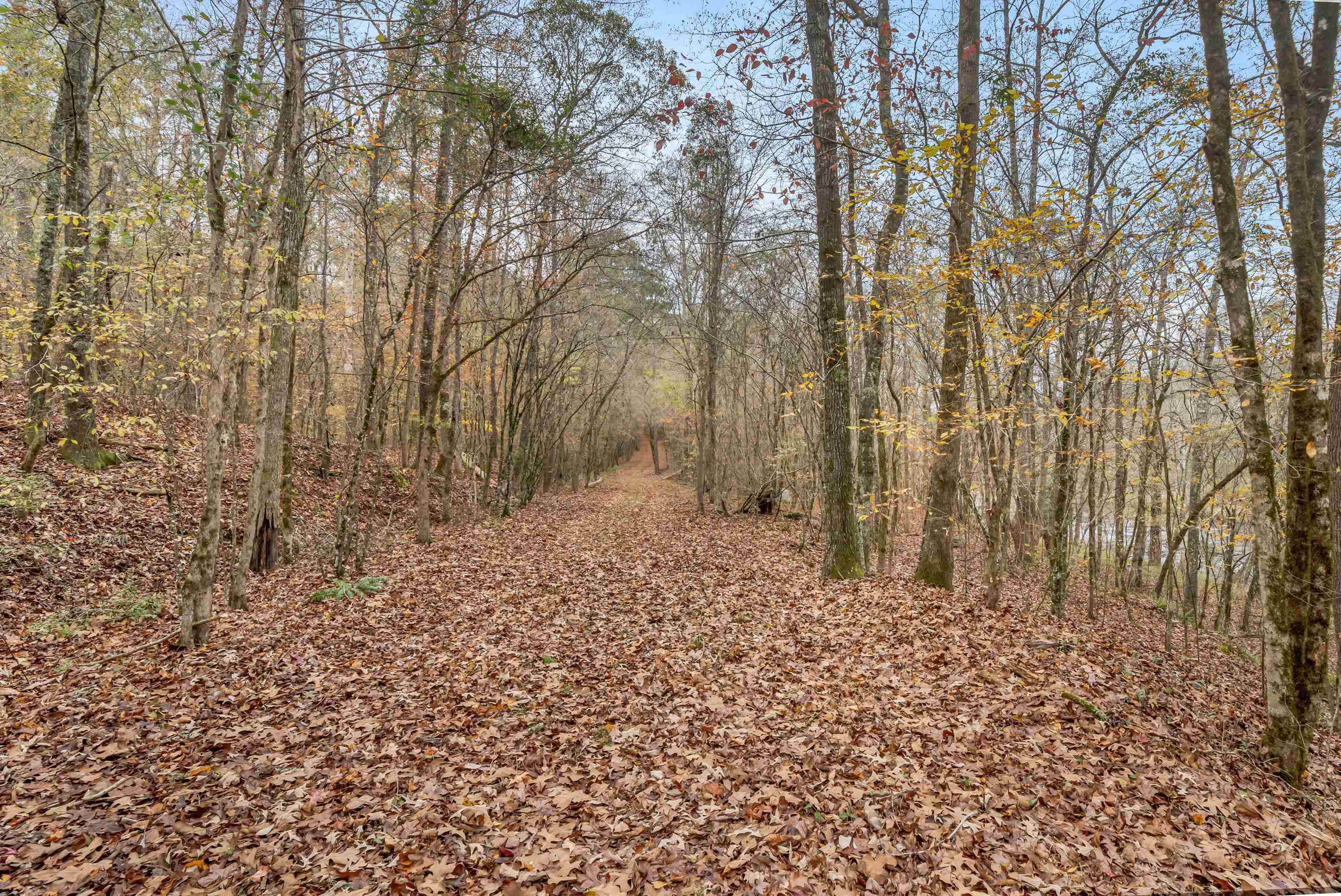 6.04 ac LINCHBURG ROAD, Eatonton, Georgia, 31024, United States, ,Land,For Sale,6.04 ac LINCHBURG ROAD,1683255