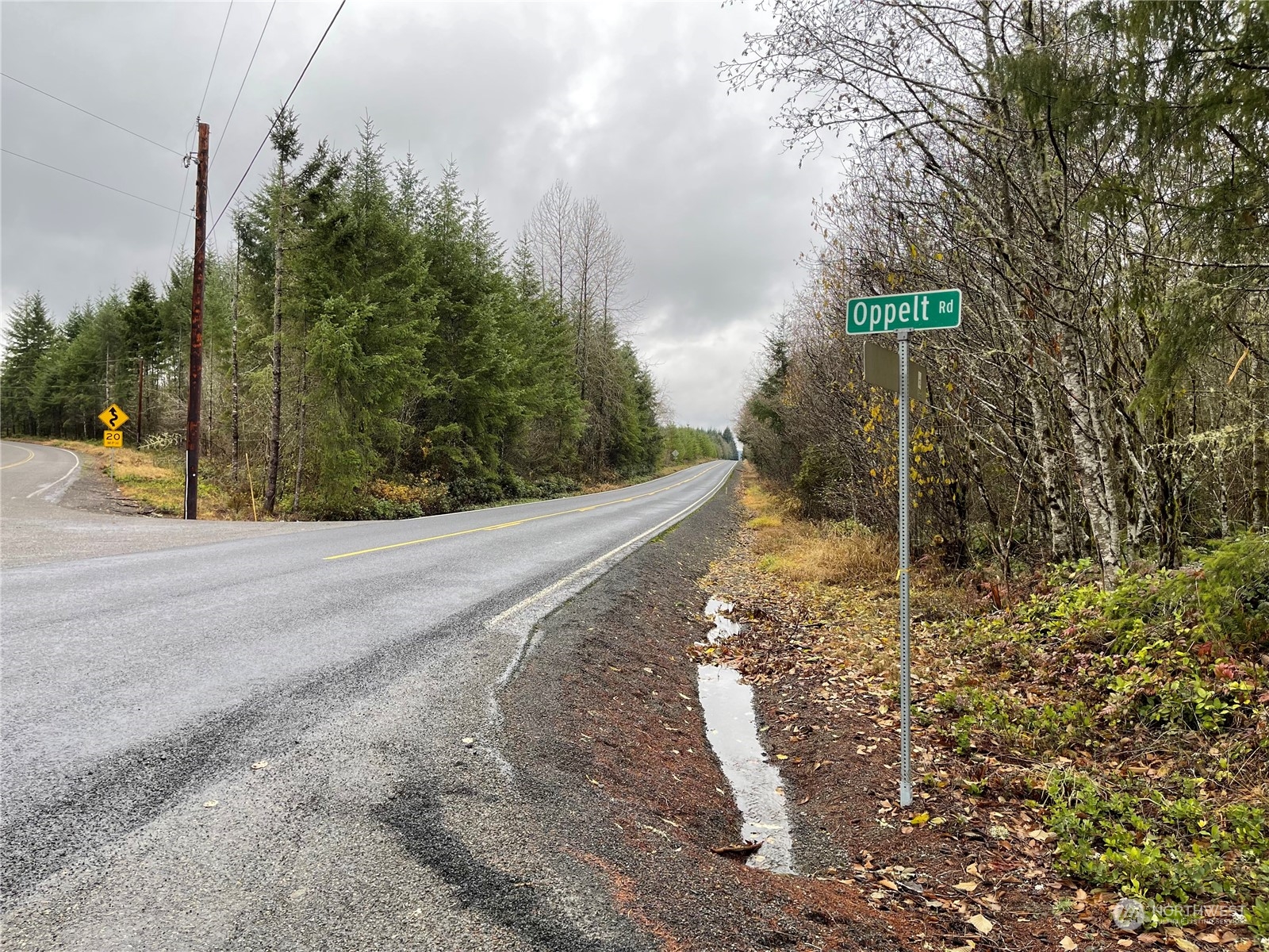 1 Xx Oppelt Road, Onalaska, Washington, 98570, United States, ,Land,For Sale,1 Xx Oppelt Road,1446946