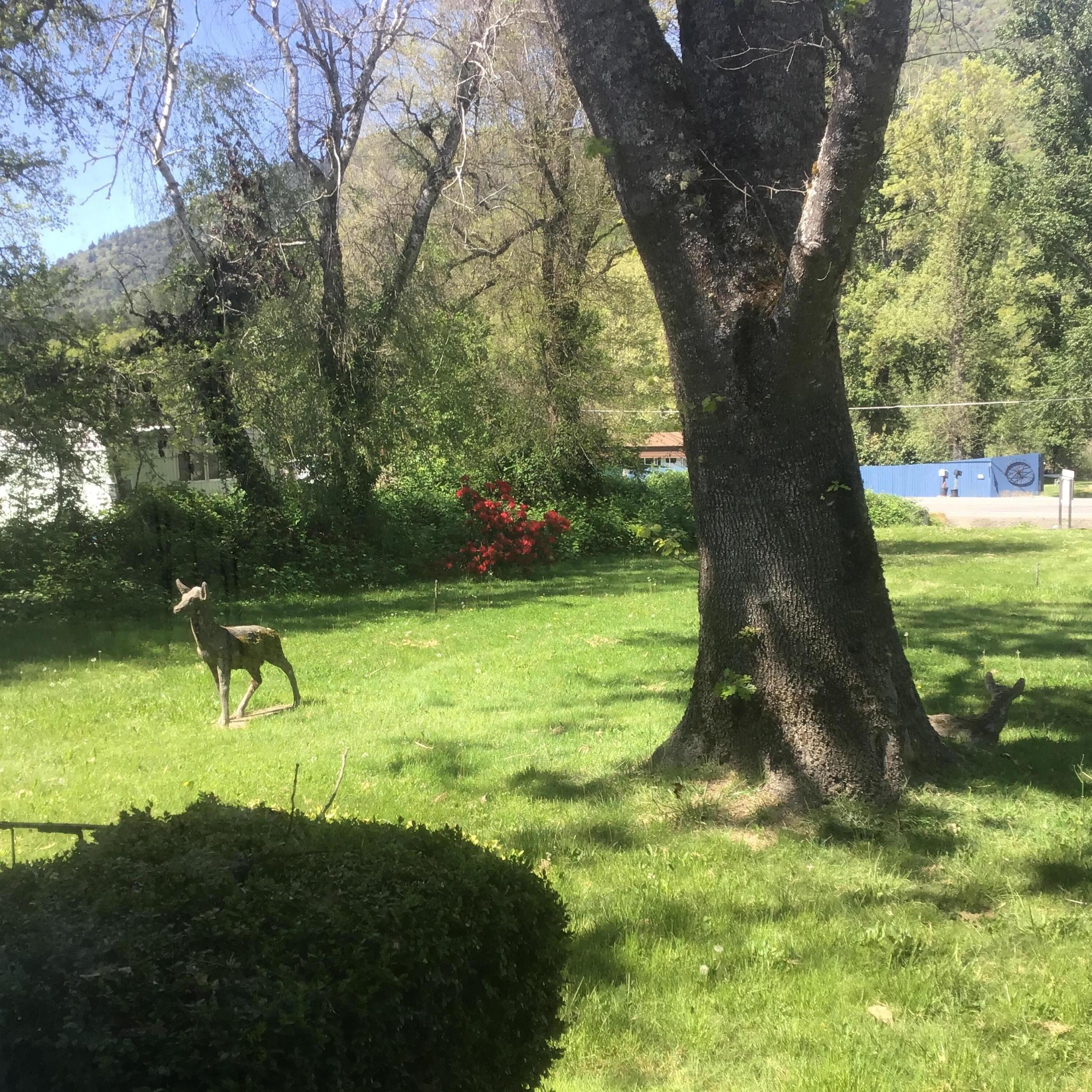 Grants Pass, Oregon, 97527, United States, 4 Bedrooms Bedrooms, ,3 BathroomsBathrooms,Residential,For Sale,1984338