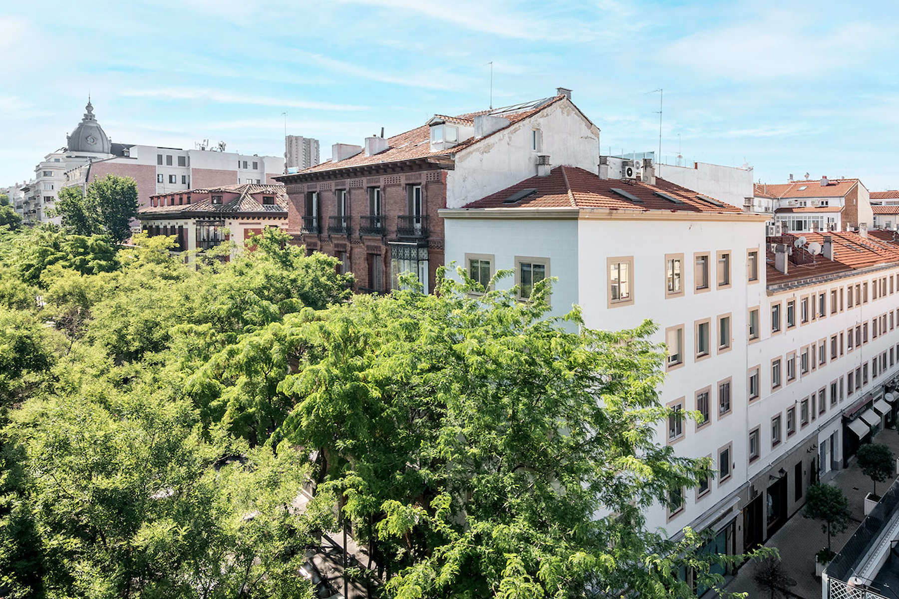  Extraordinary investment opportunity in the heart of Recoletos - 物件實景