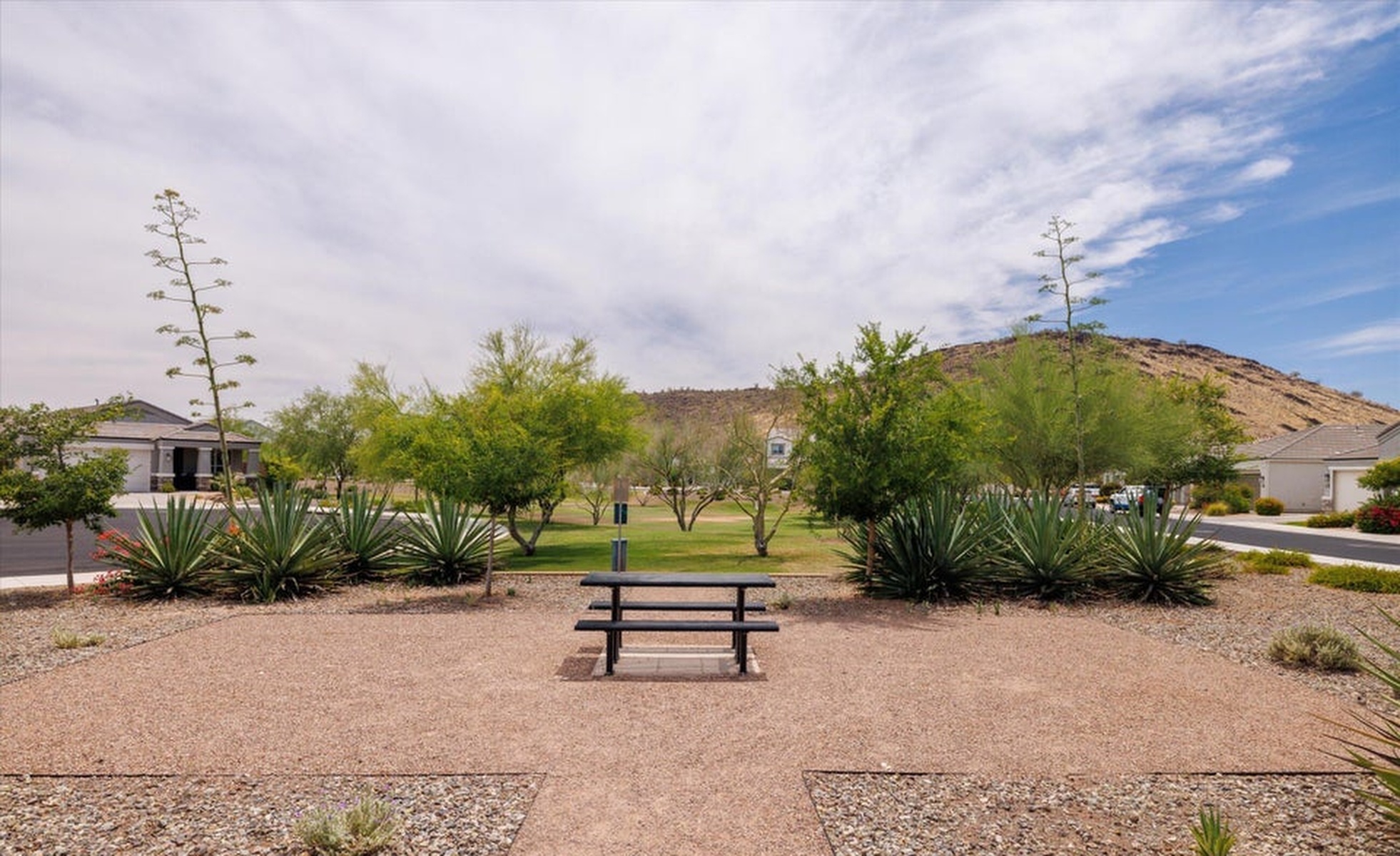  2046 E Charlotte Drive  Phoenix, AZ - 物件實景