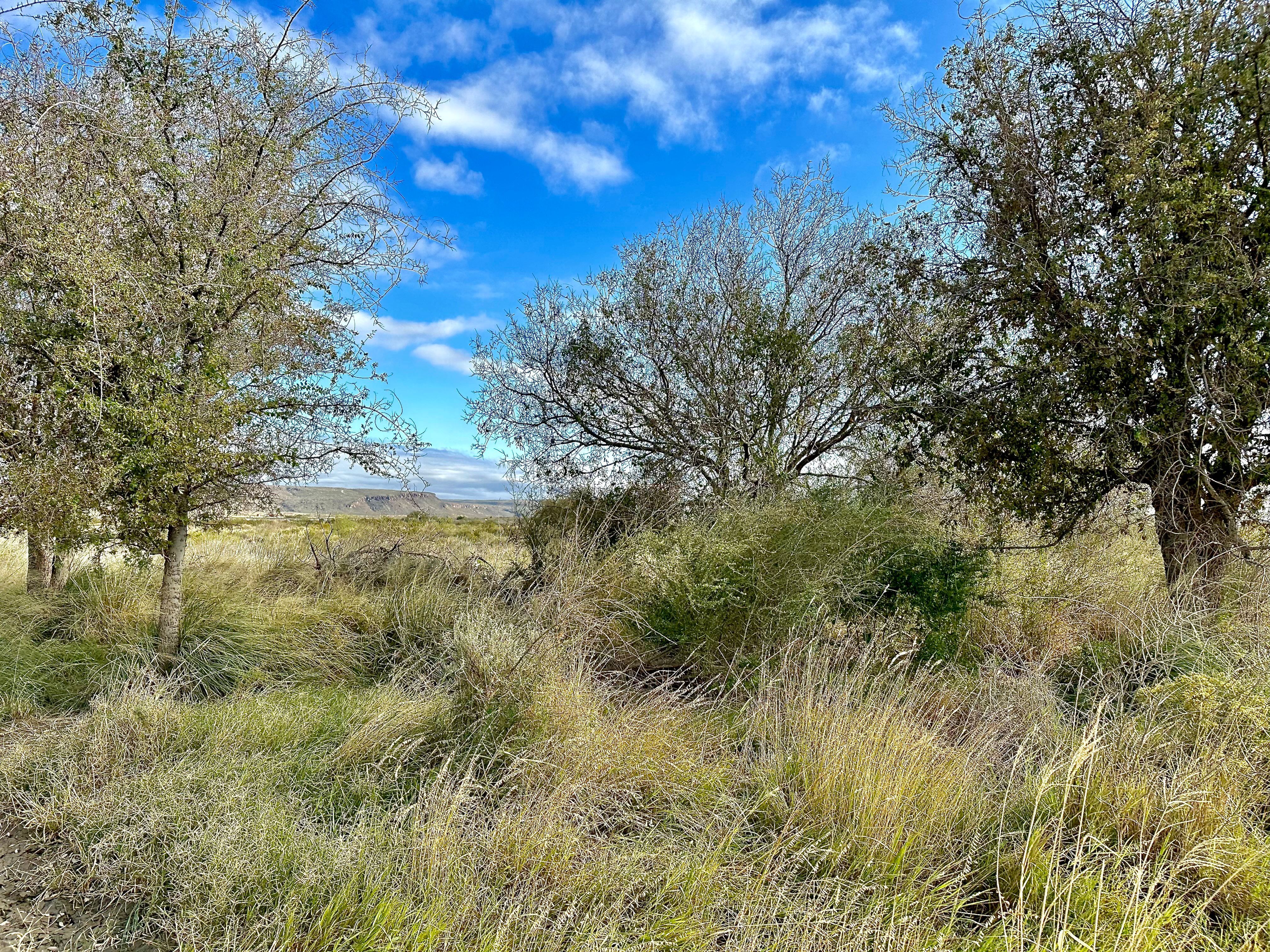  The Alamito Ranch in Presidio County - 物件實景