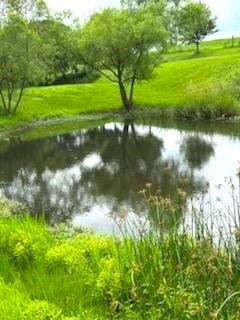 Richland Center, Wisconsin, 53581, United States, 1 Bedroom Bedrooms, ,2 BathroomsBathrooms,Residential,For Sale,2037318
