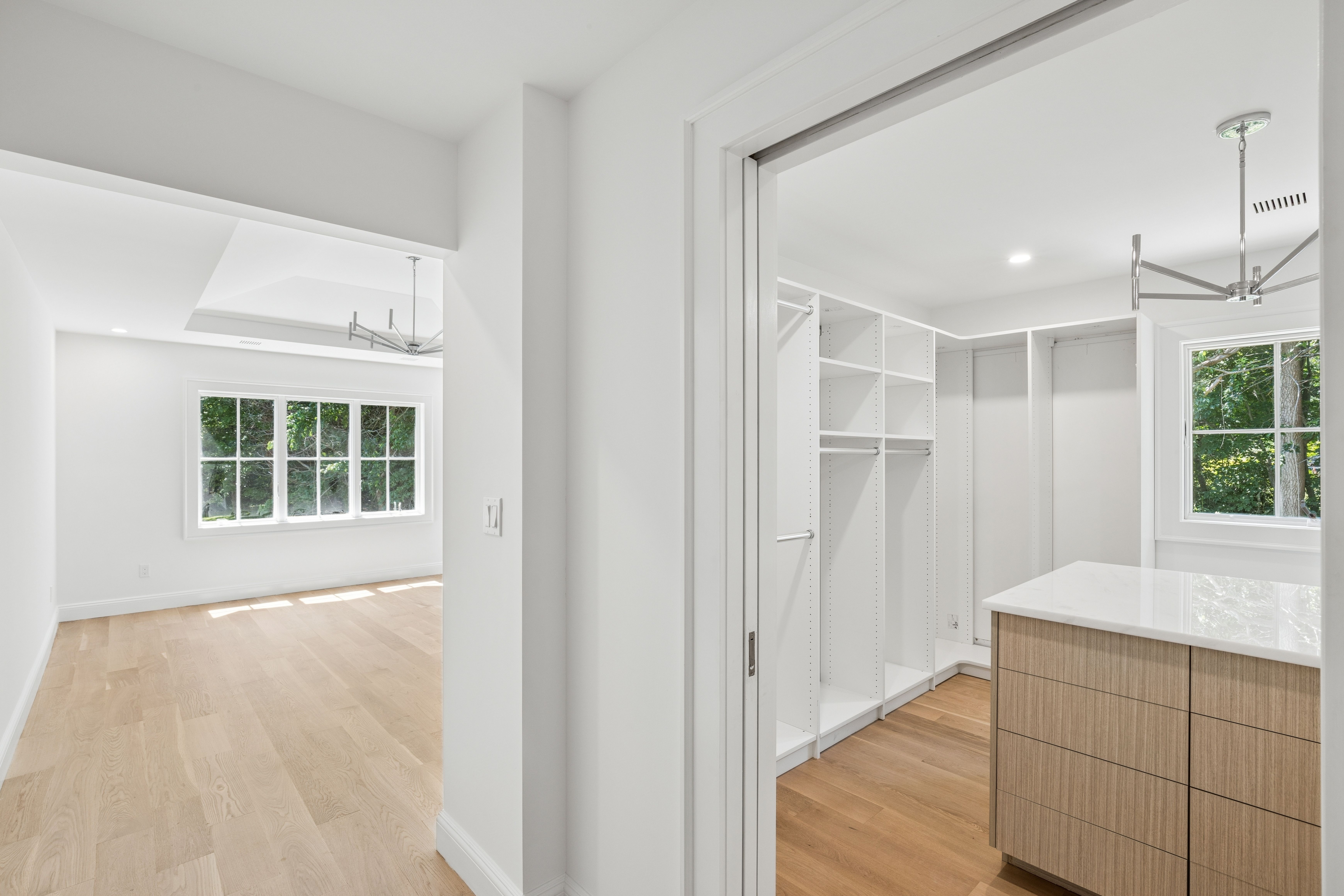  19# Woodvale, Laurel Hollow, NY, 11791 - 物件實景