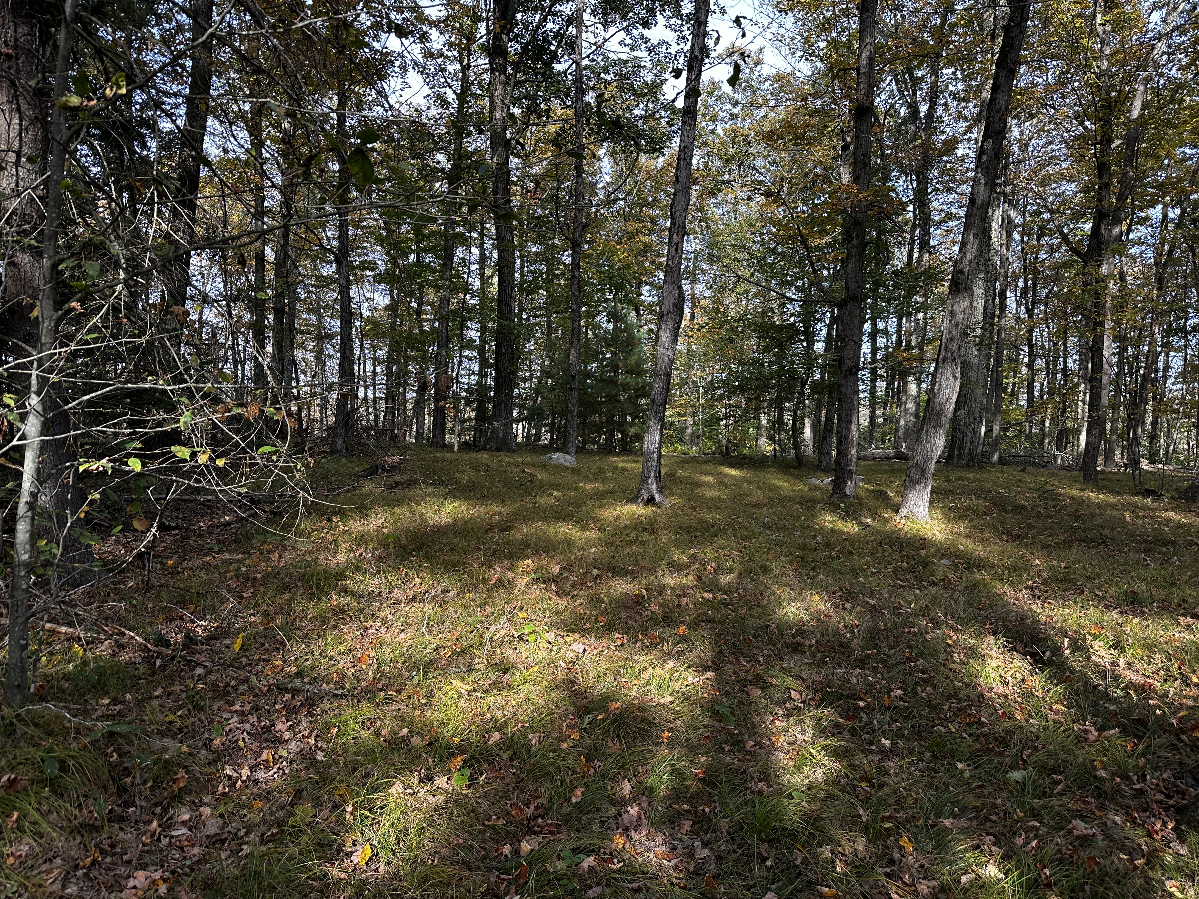  000000 Norfolk Road - 物件實景